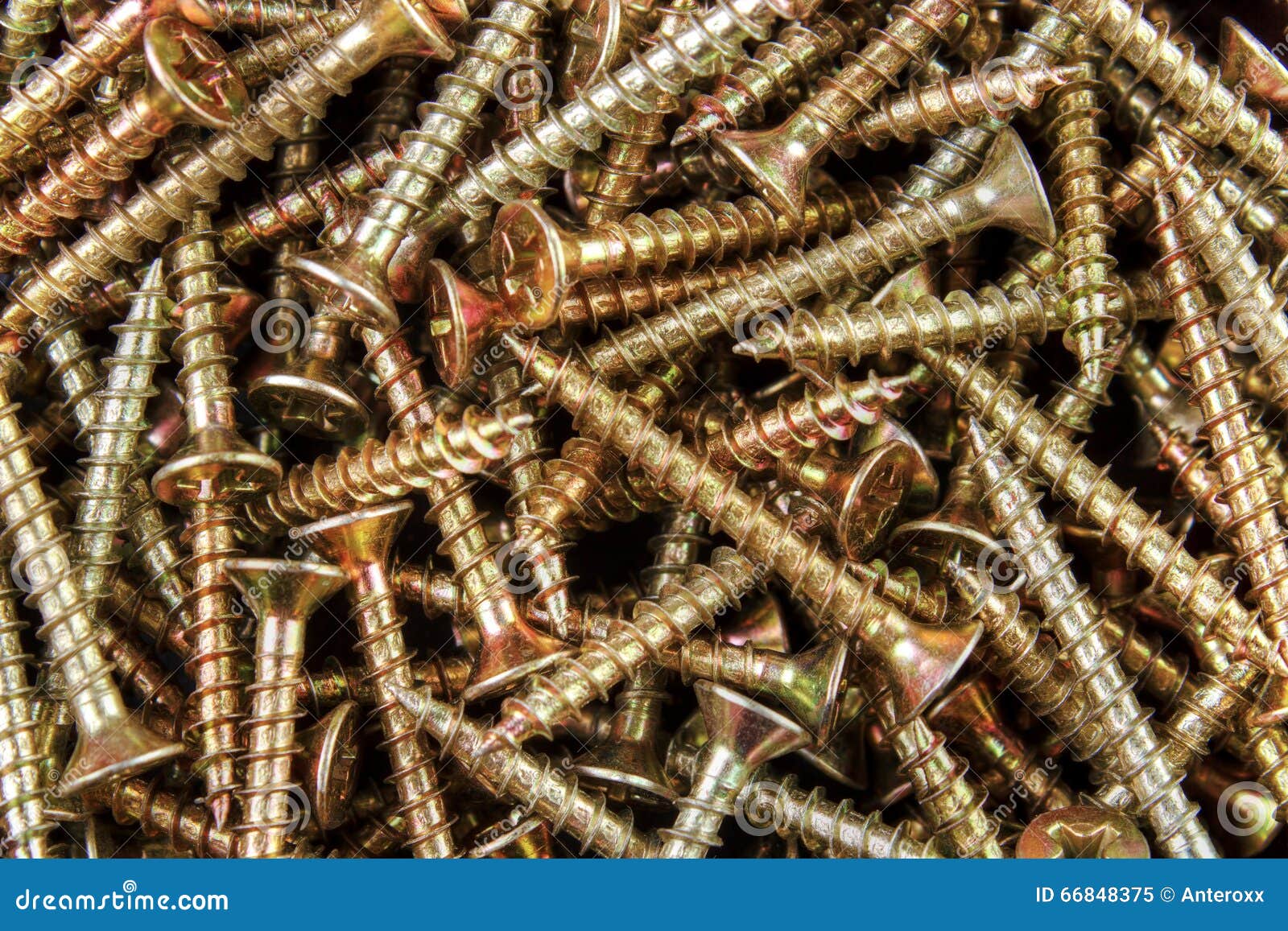 Wood screws stock image. Image of brass, sharp, coated - 66848375