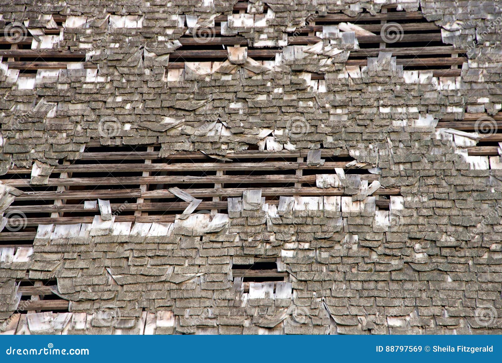 wood shake shingle roof falling appart