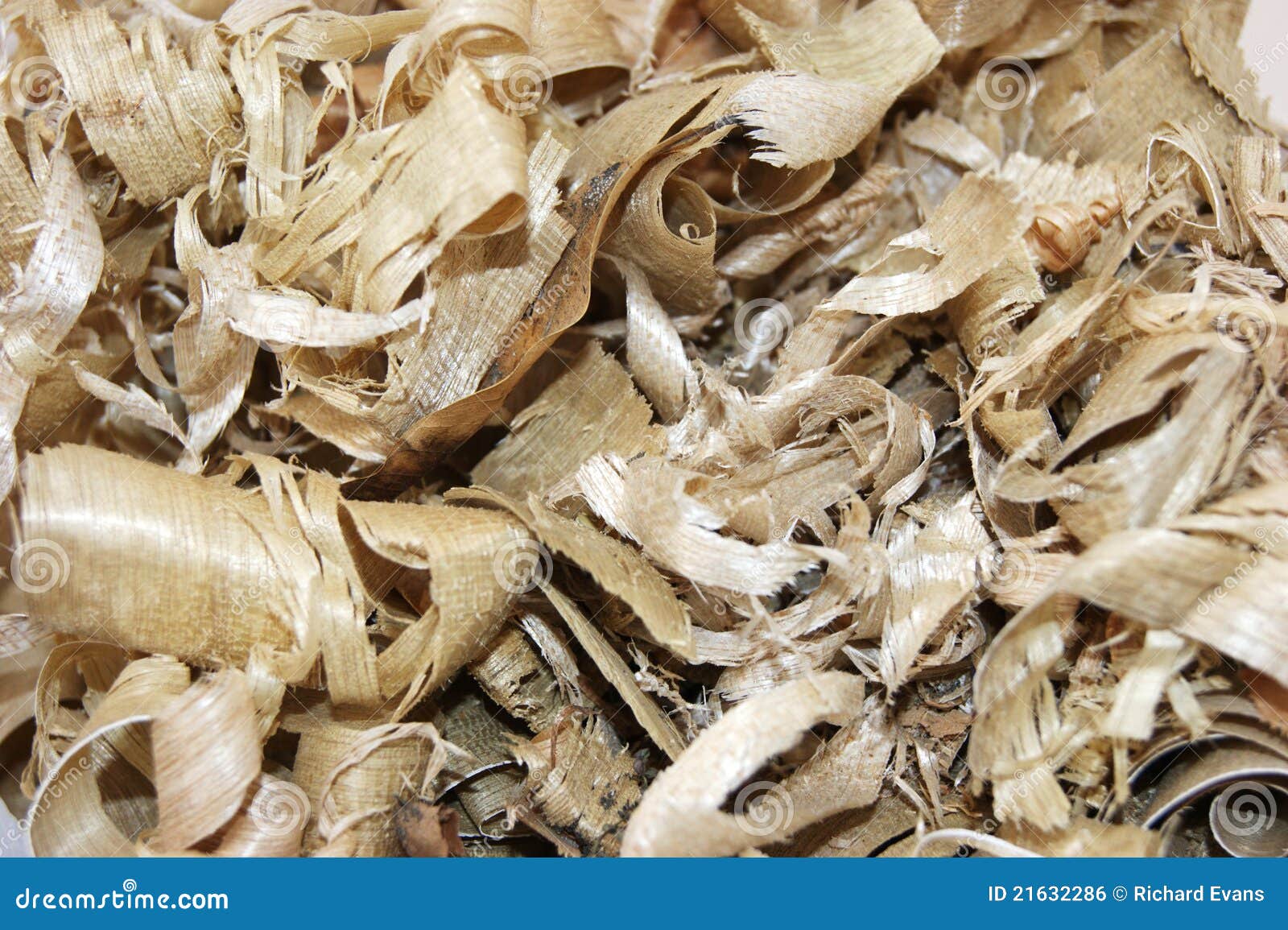 Wood Shavings stock photo. Image of waste, texture, wood 21632286