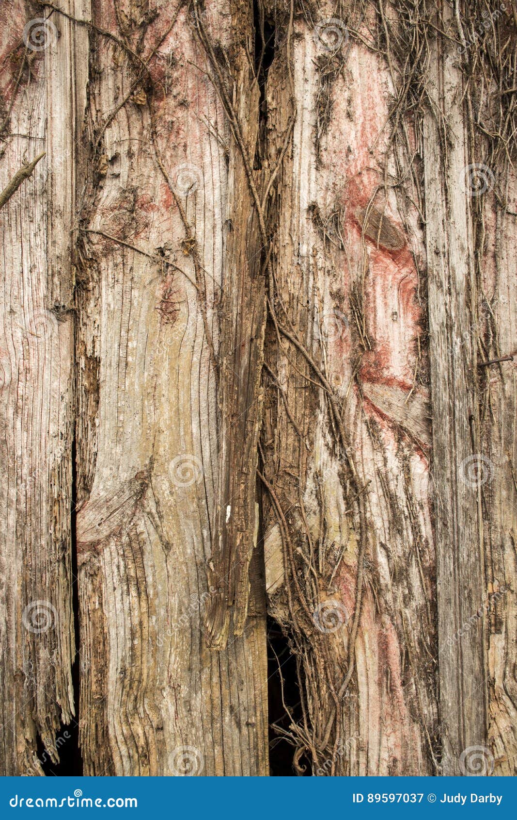 Wood Siding Background Stock Image Image Of Splinter 89597037