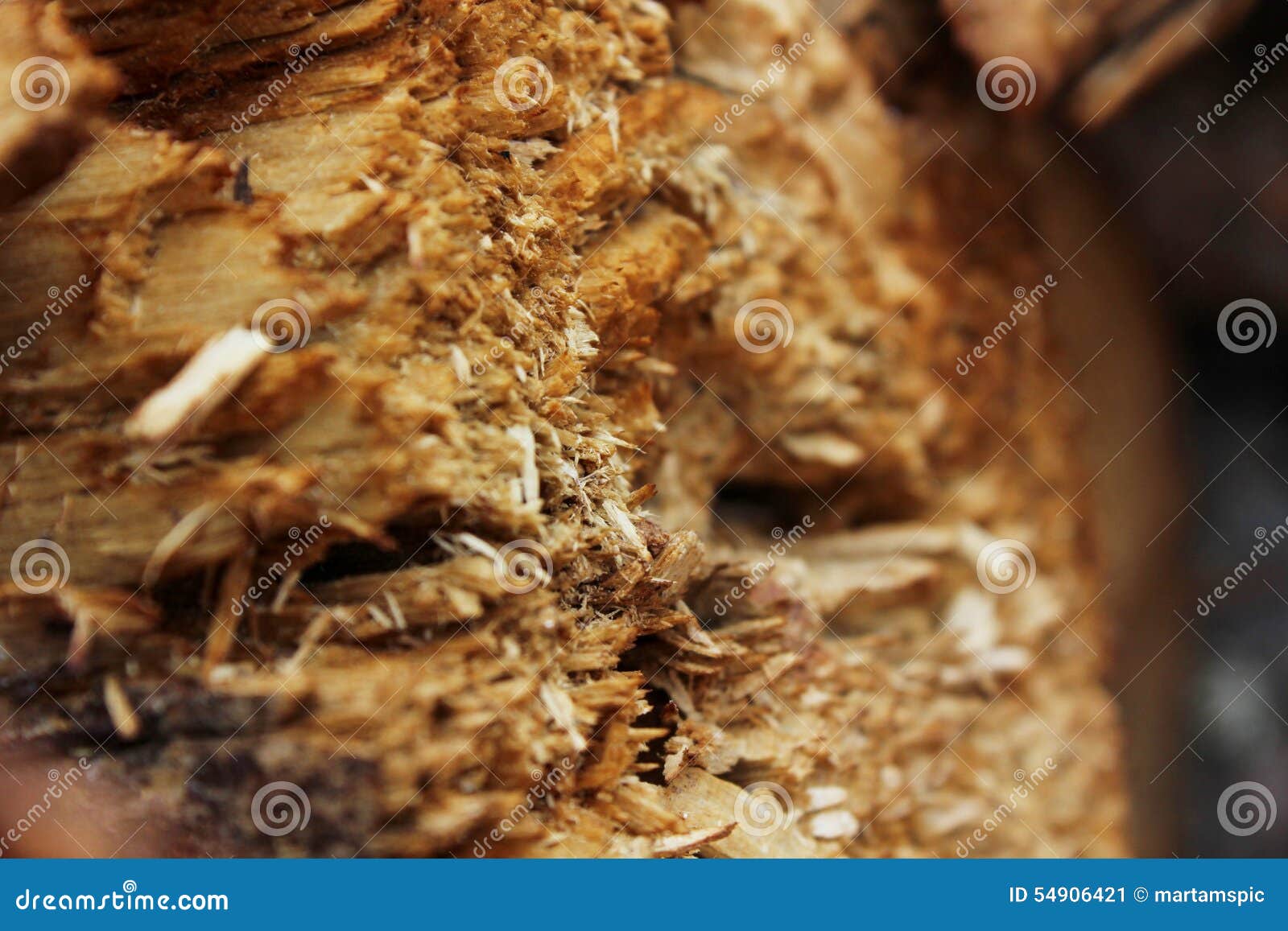 Wood splinters stock image. Image of wood, material, close 54906421