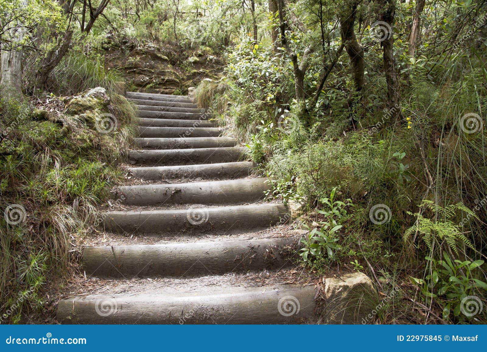 Wood stairs stock image. Image of sunlight, wild, beam 22975845