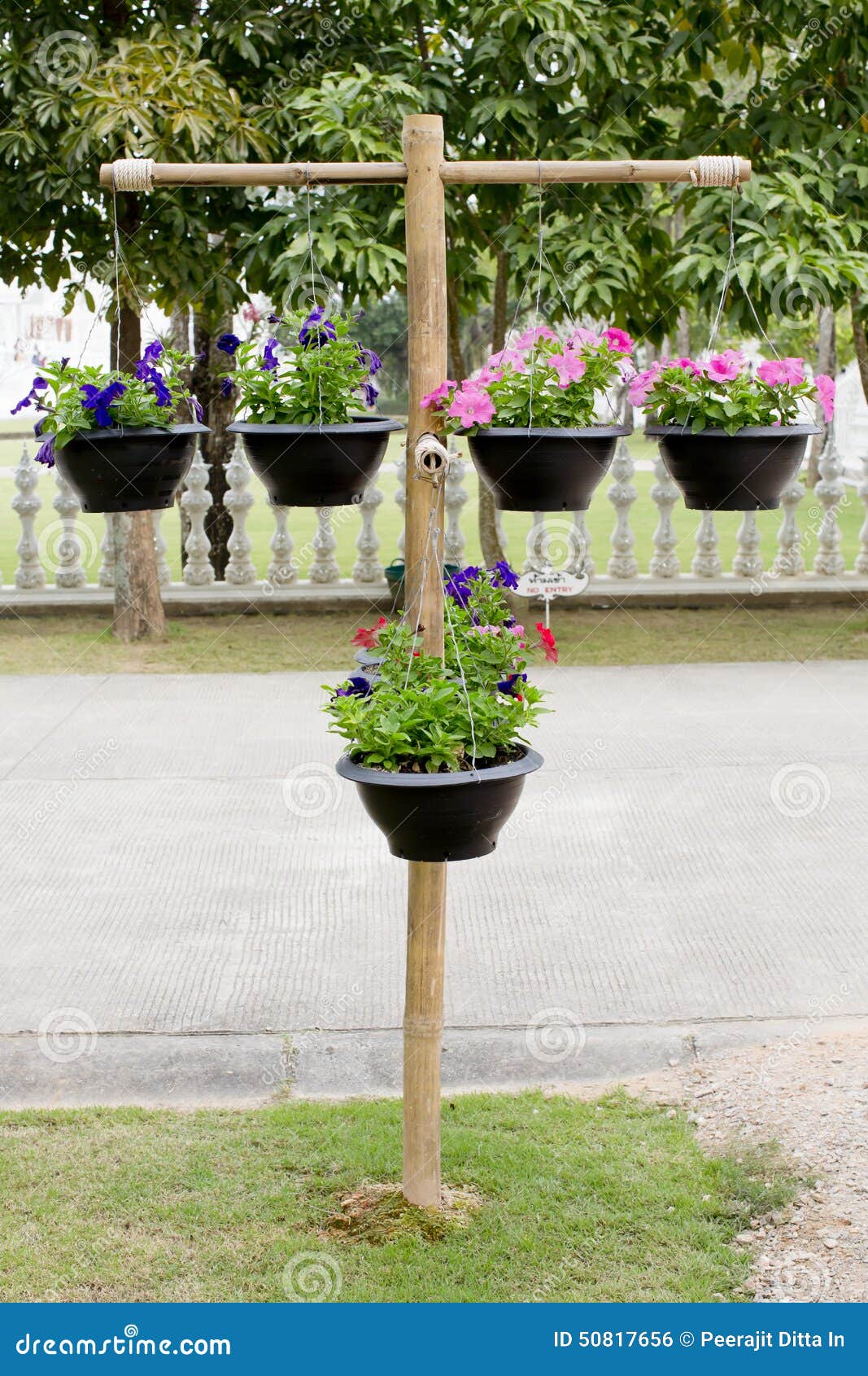 Wood Stand With Pots Of Flowers Stock Photo Image of Wood Stand With Pots Of Flowers Stock Photo Image of