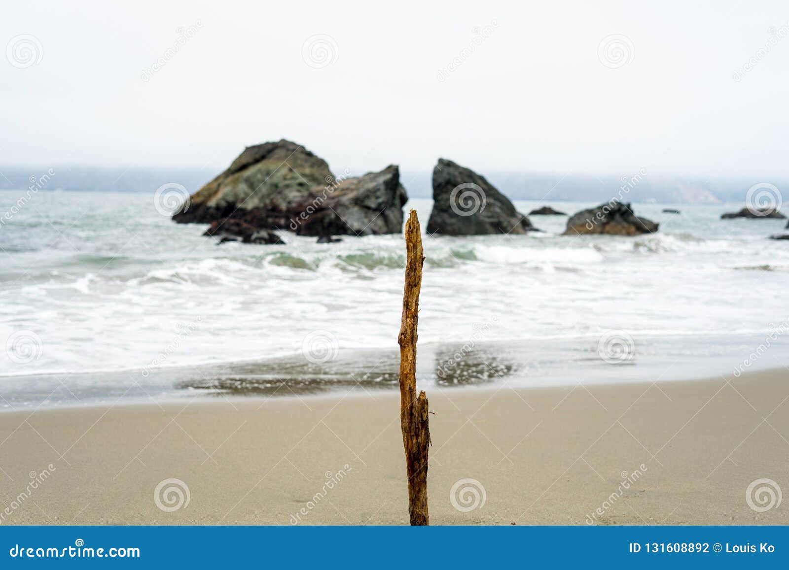 wood stick in beach