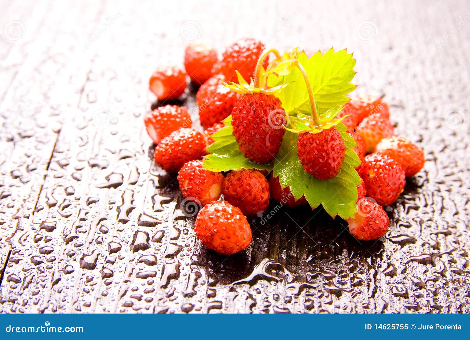 Wood strawberries stock image. Image of fragaria, nature 14625755