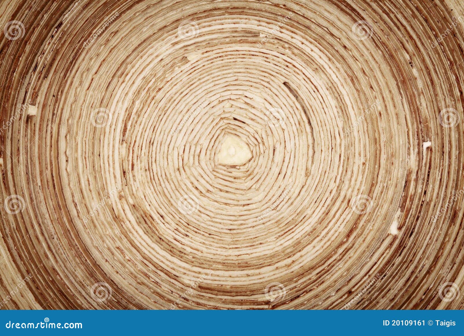 Wood Texture Stock Image - Image: 20109161