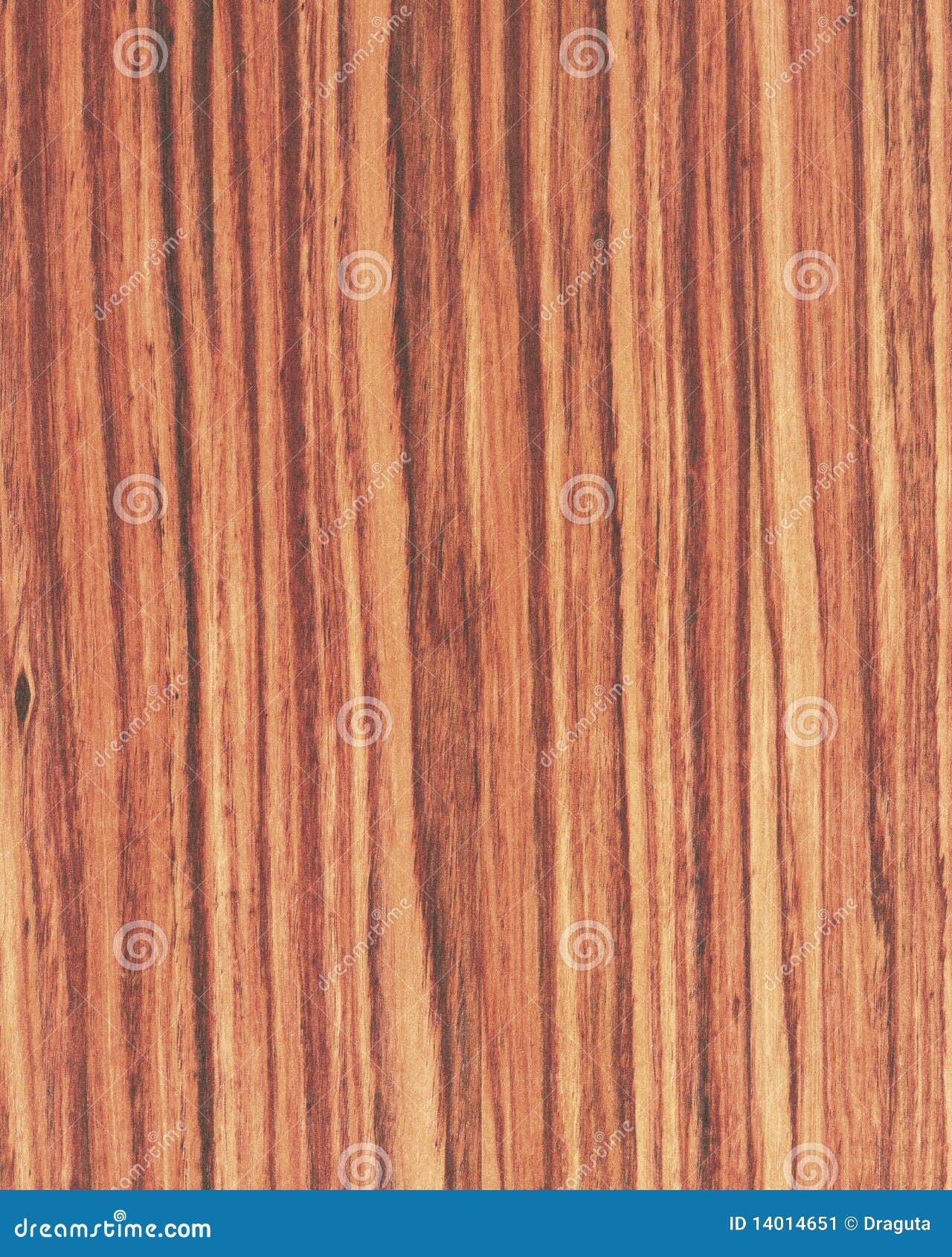 Wood Texture Background_tulip Wood_06 Stock Image - Image of brown, surface: 14014651