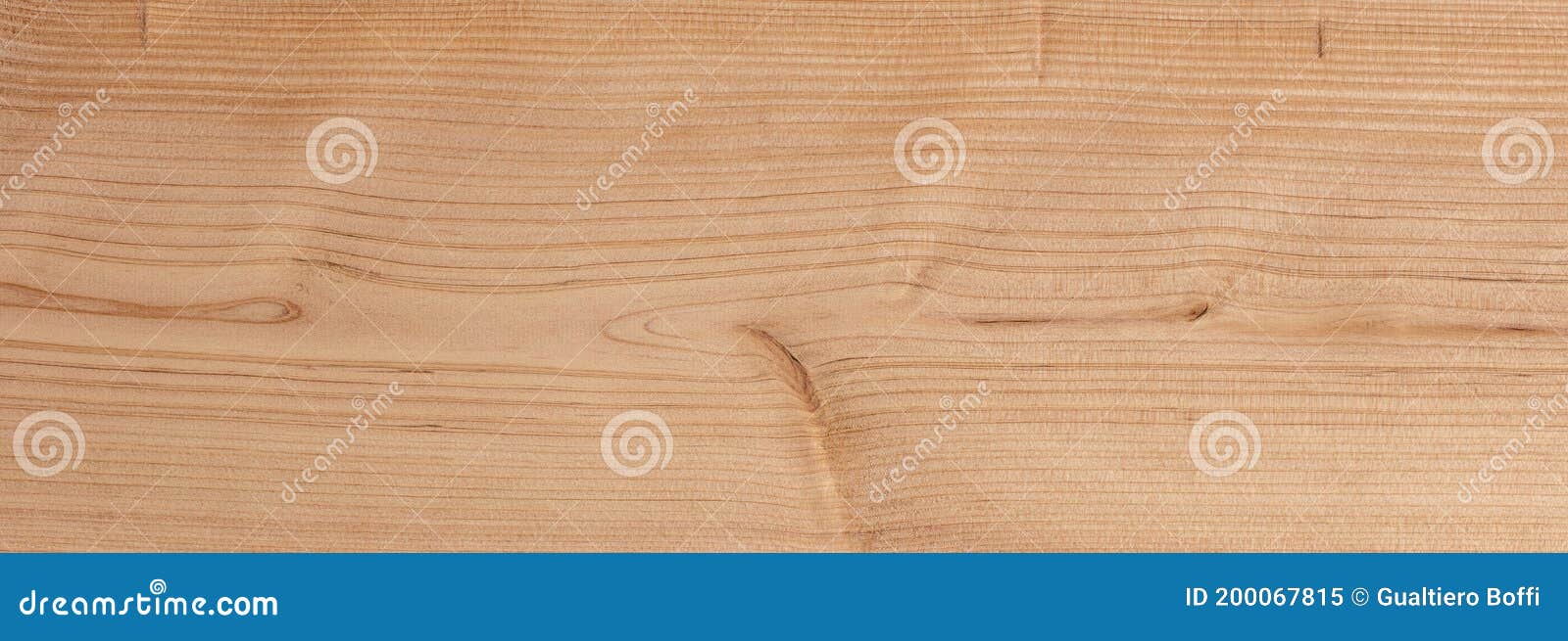 natural cedar wood texture