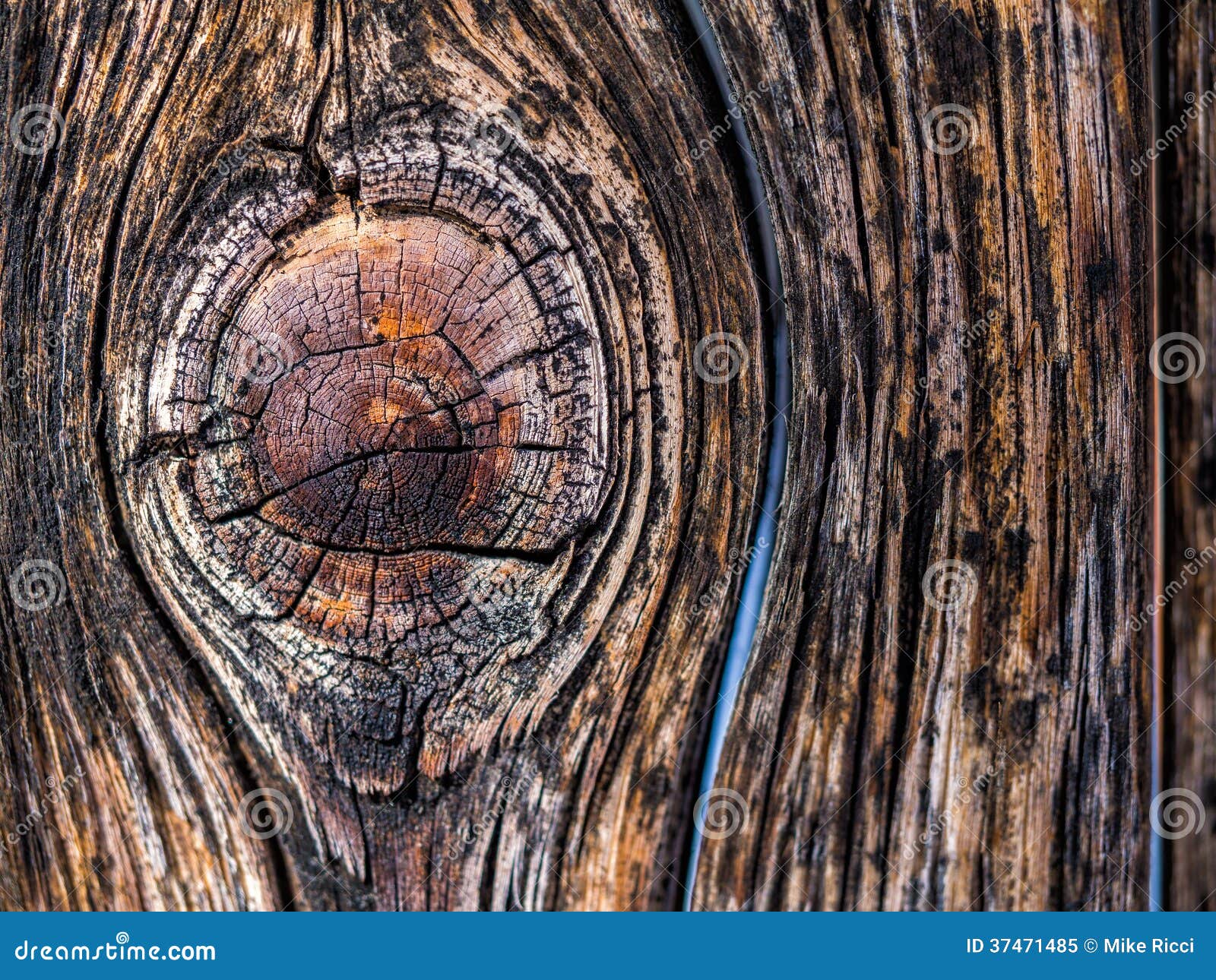 wood texture