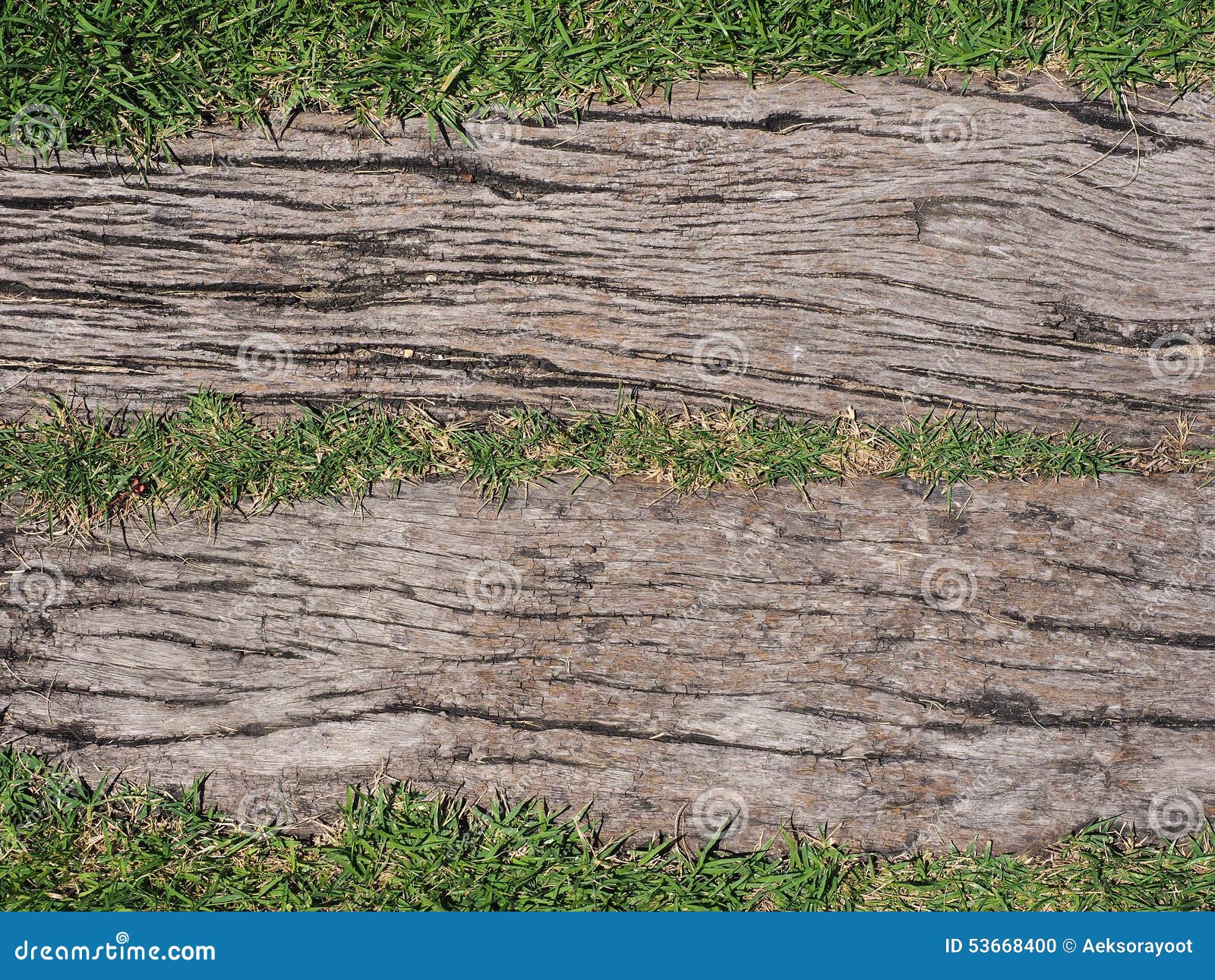 Wood Texture with Grass Background Stock Photo Image of texture, textur 53668400
