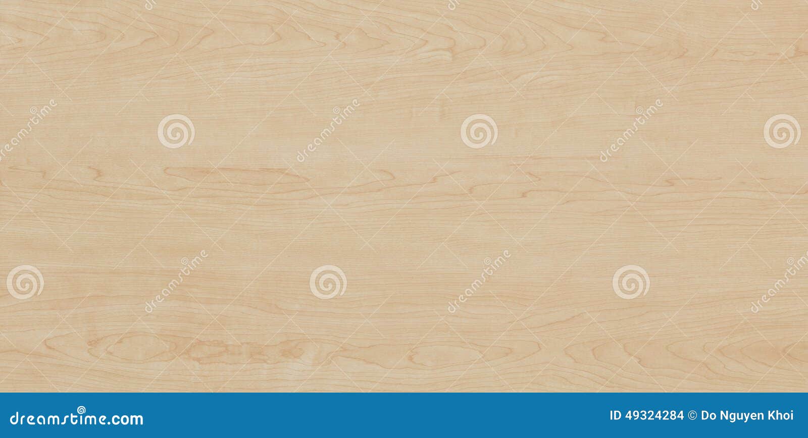 wood texture - maple