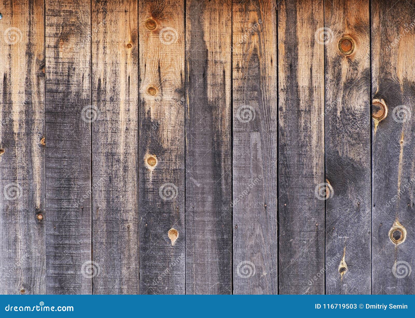 wood texture background