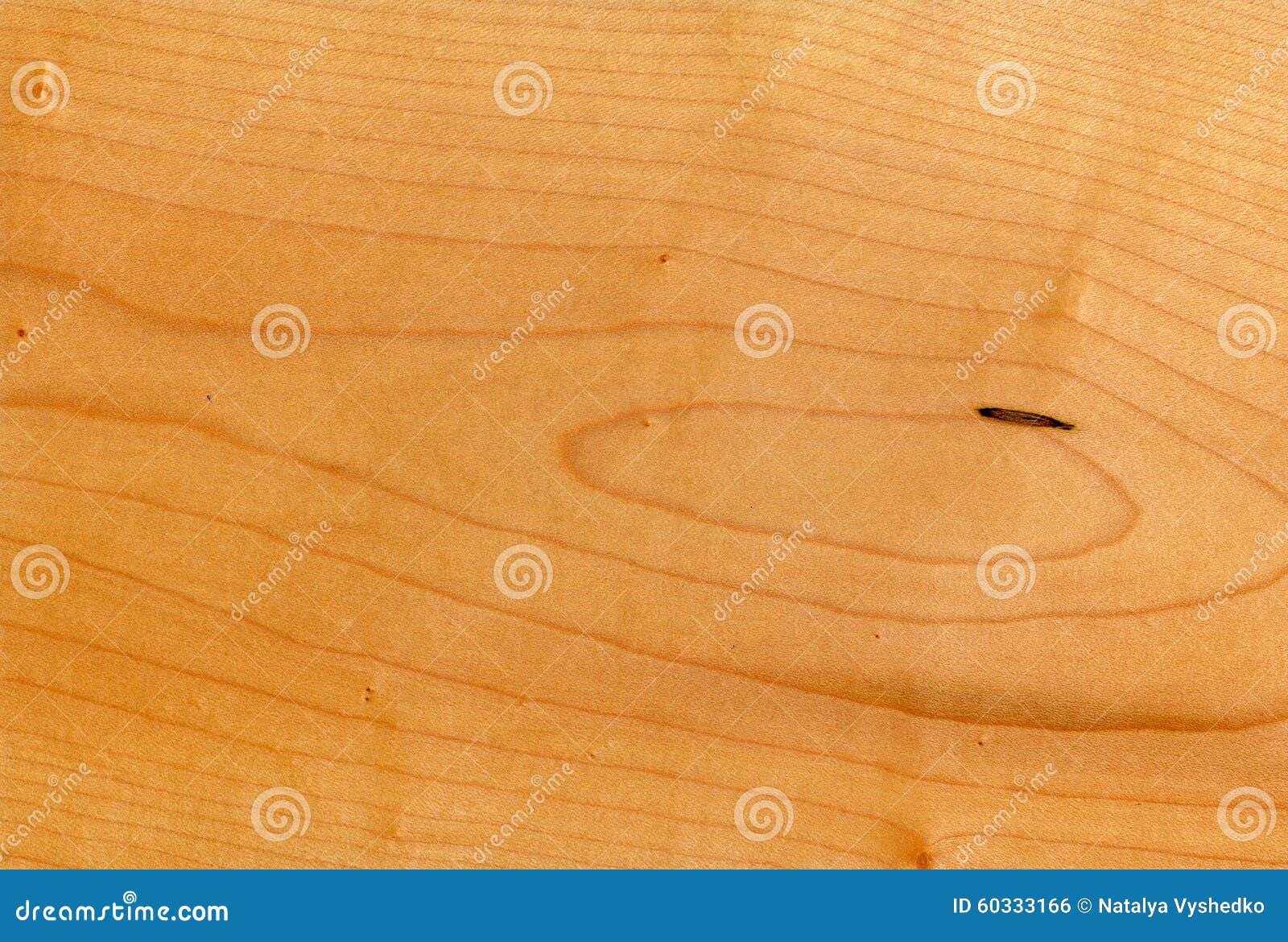 wood texture with natural wood pattern