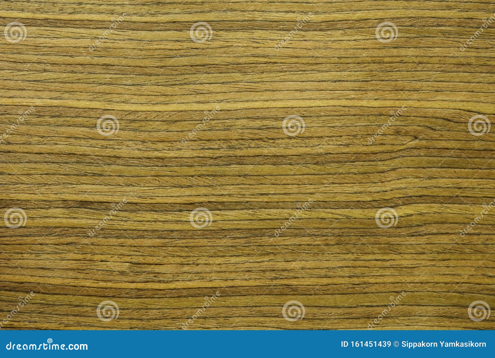 Wood Texture Painting for Interior Design Stock Image Image of