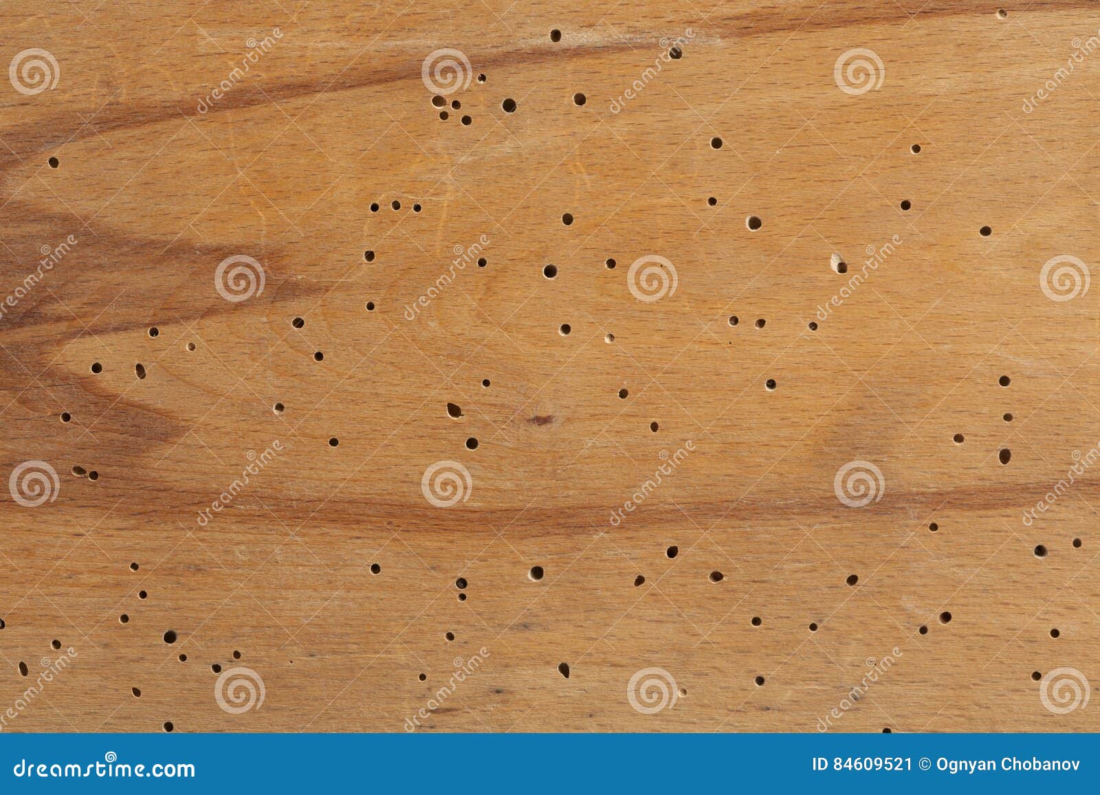 Wood Texture With Termite Holes Stock Image Image Of Structure