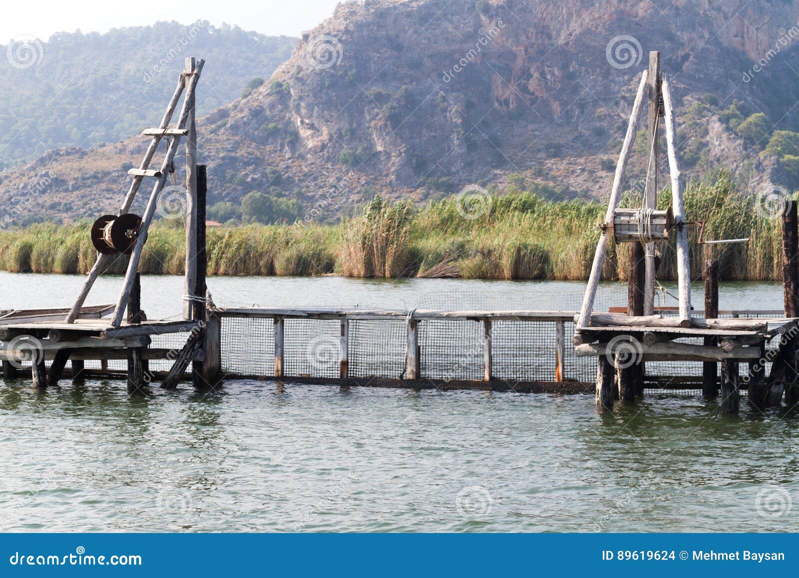 Wood way of the fish farm stock photo. Image of aquatic 89619624