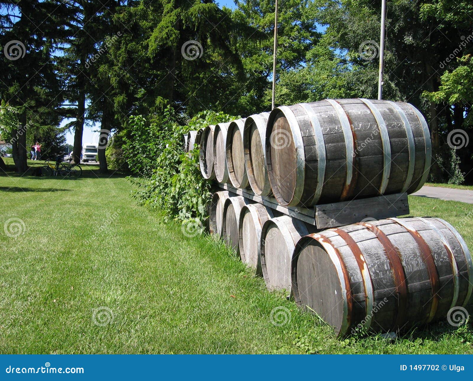 Wood wine barrels stock photo. Image of beverage, agriculture 1497702