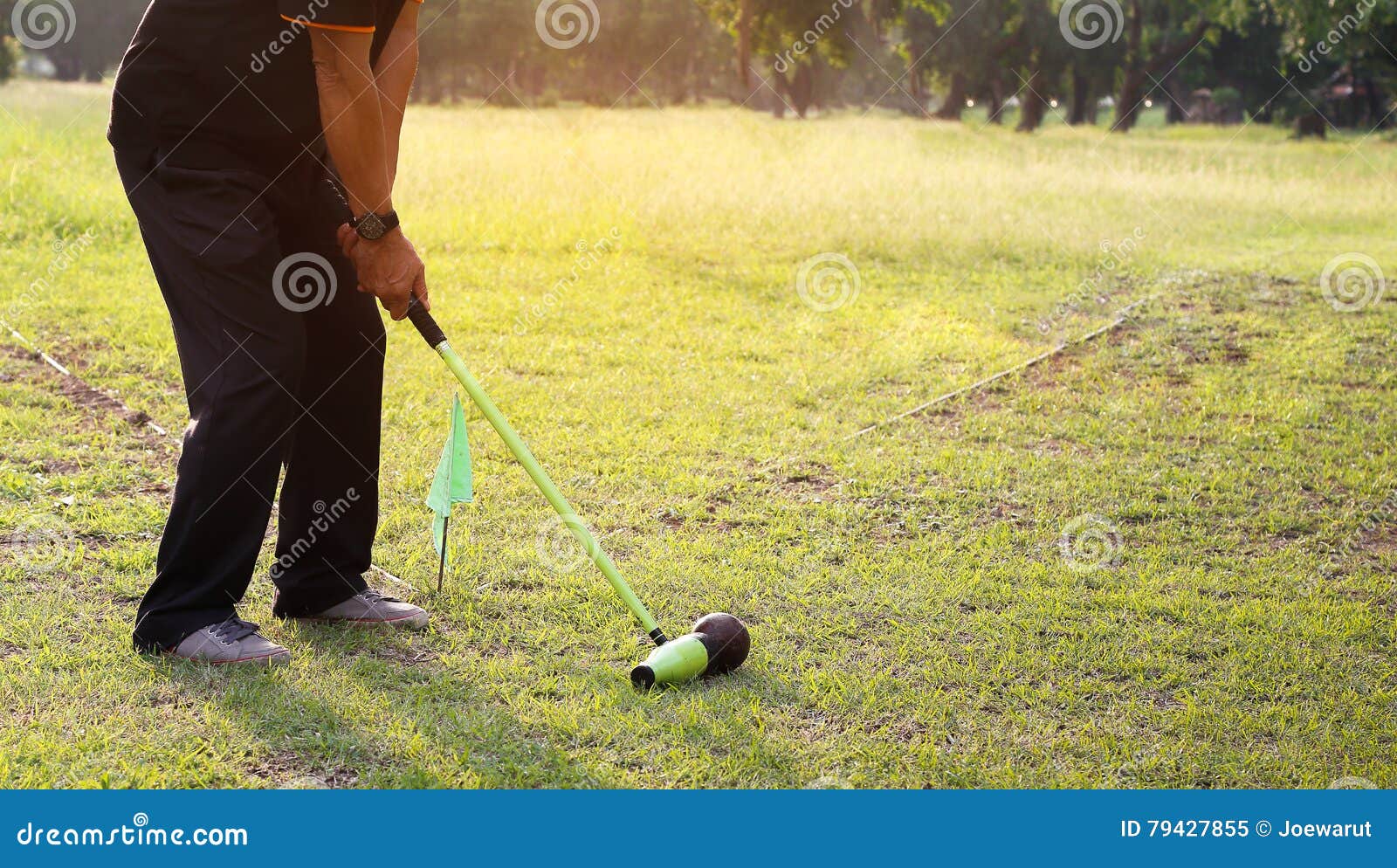 Woodball game stock image. Image of match, green, player 79427855