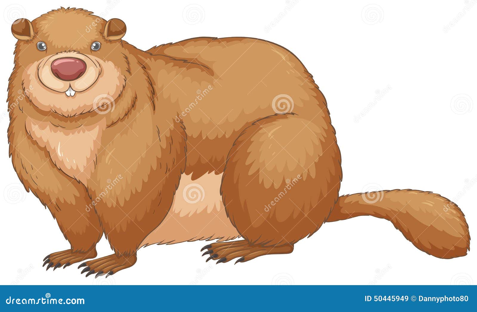 Woodchuck Cartoons, Illustrations & Vector Stock Images - 1983 Pictures