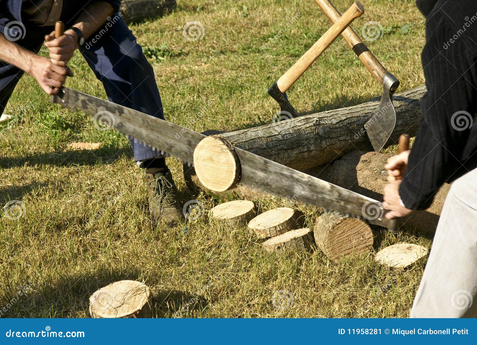Woodcutters stock image. Image of hatchet, wood, green 11958281
