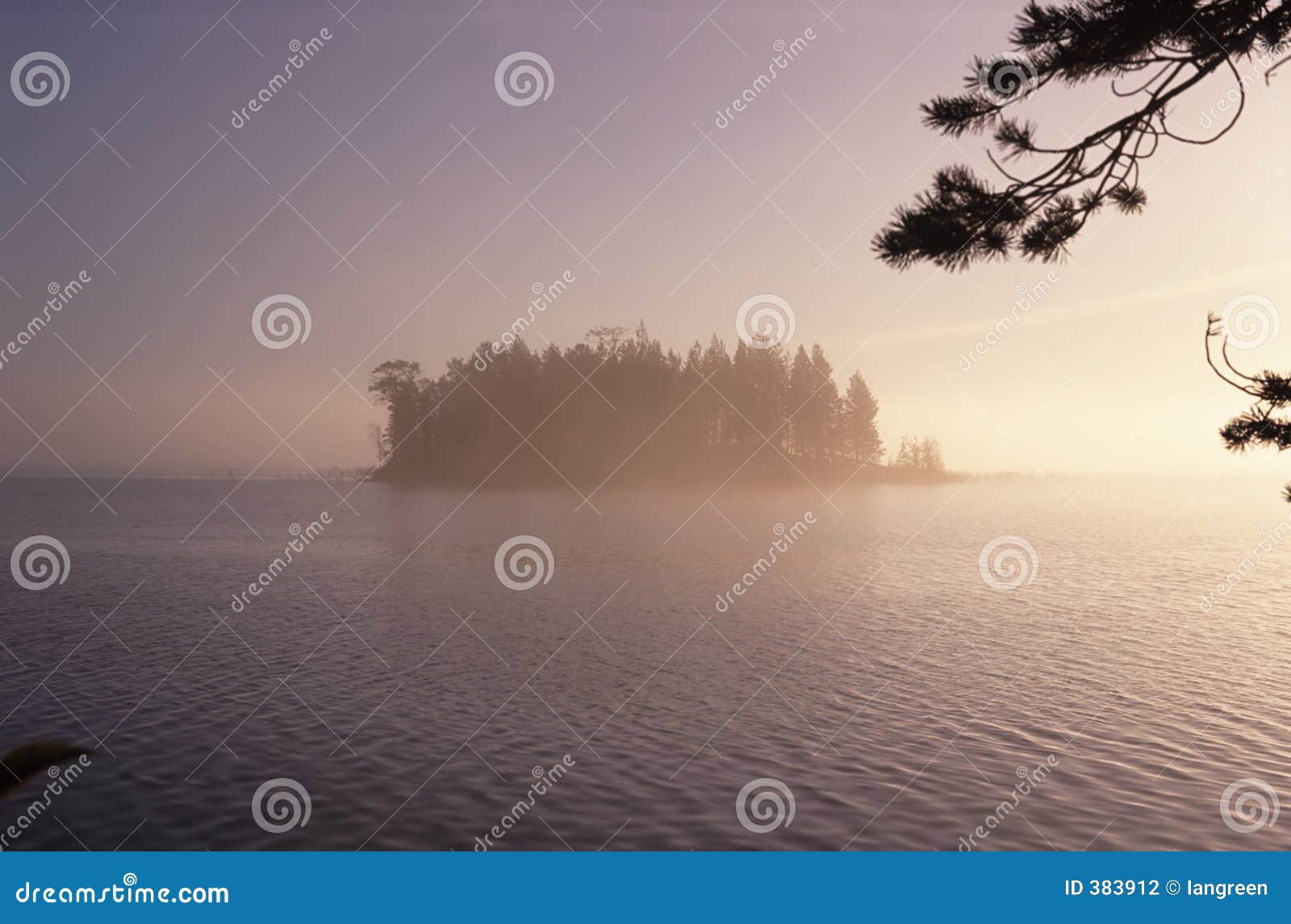 wooded island in lake