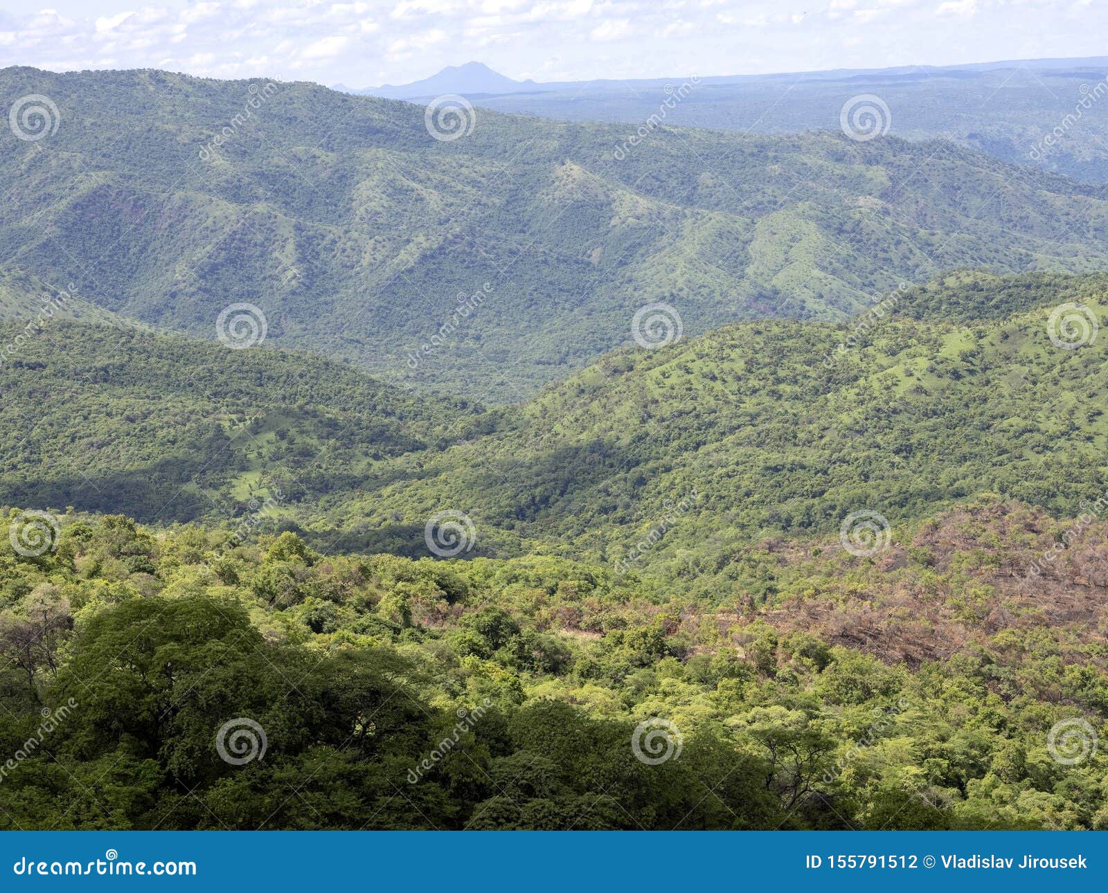 wooded landscape in mago national park of southern ethiopia