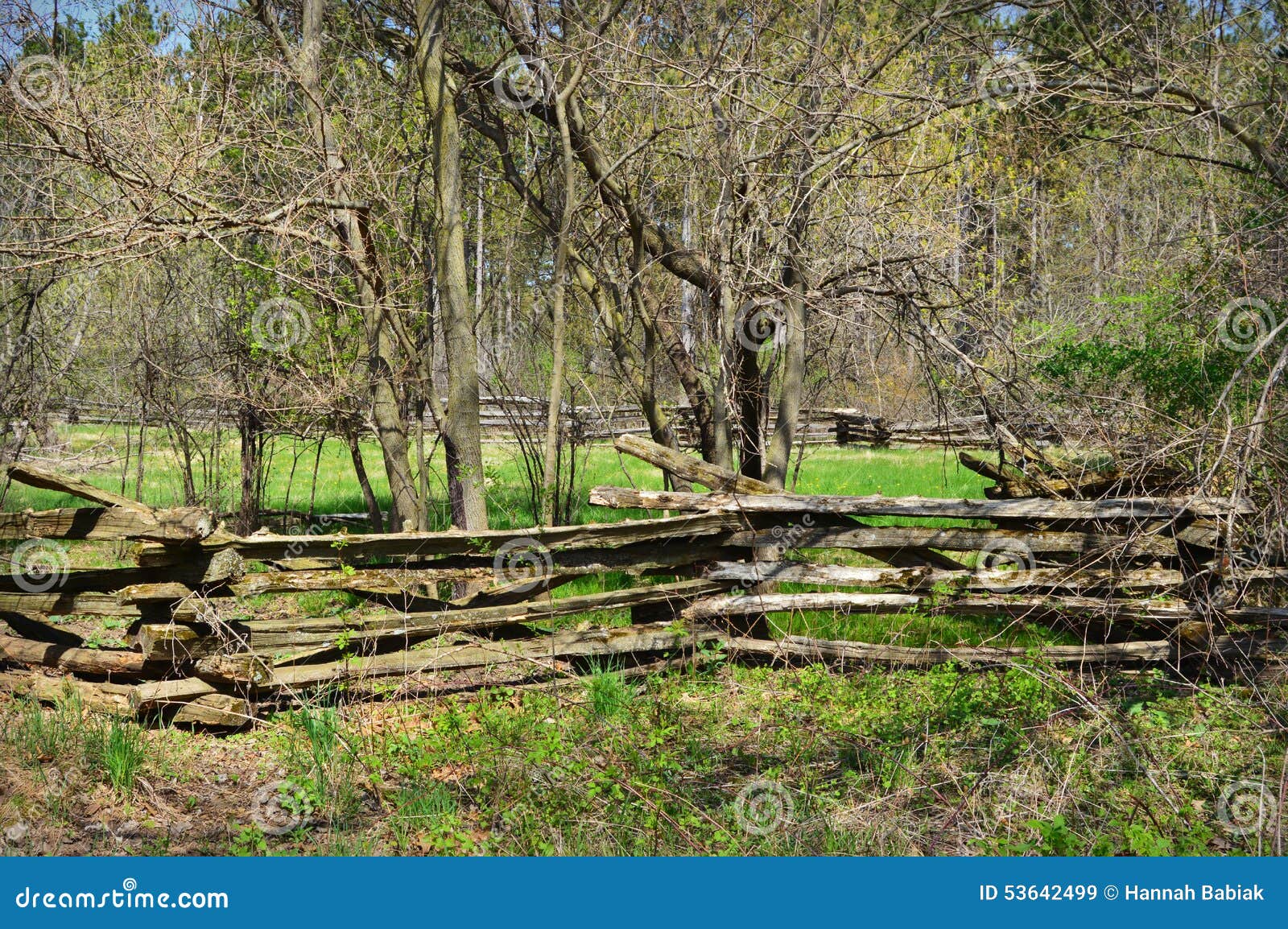 wooded property with fence