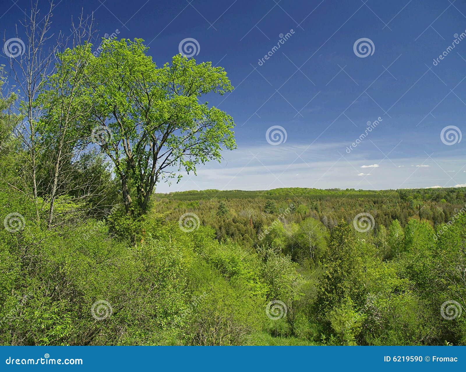 Wooded valley stock photo. Image of deciduous, horizon 6219590