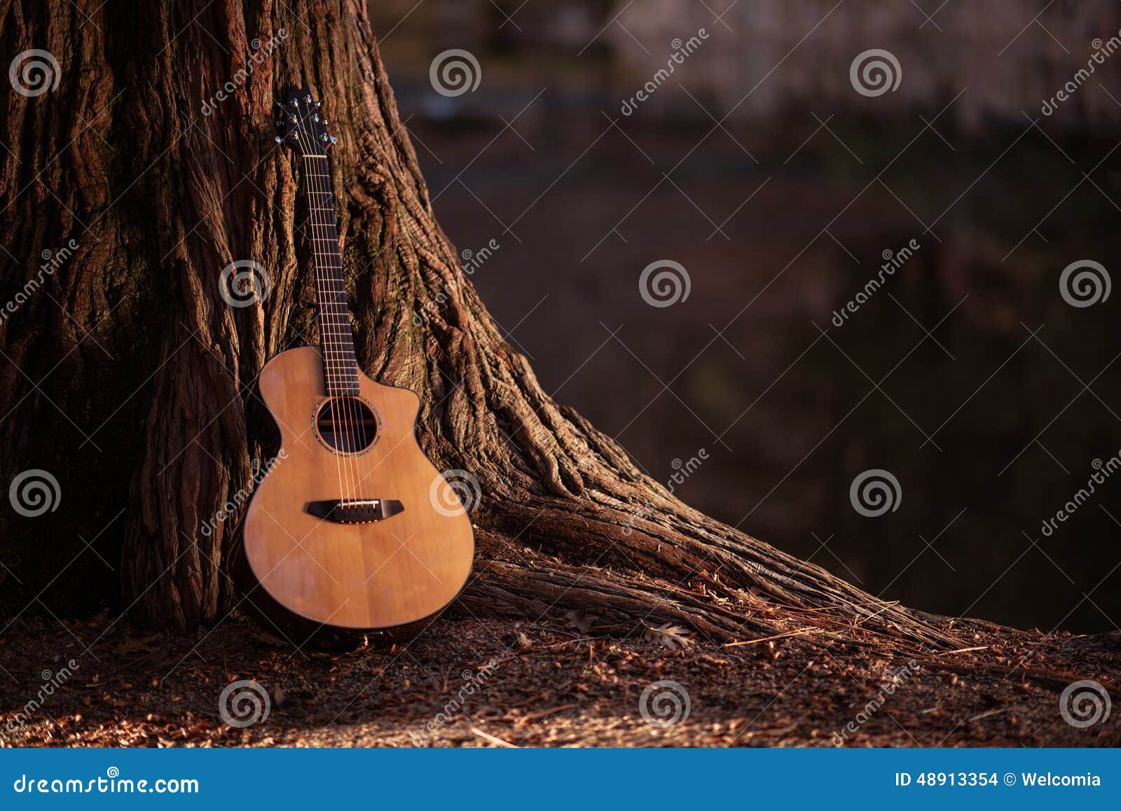 wooden acoustic guitar