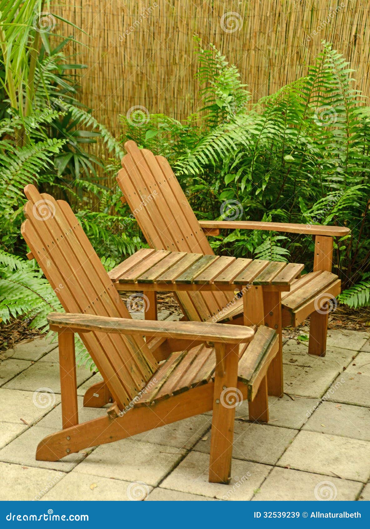 Wooden Adirondack Chairs In Tropical Backyard Stock Image Image