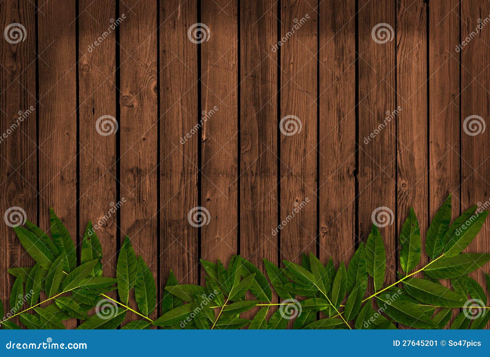 Wooden Background with Leaves Stock Image Image of board, scrapbook