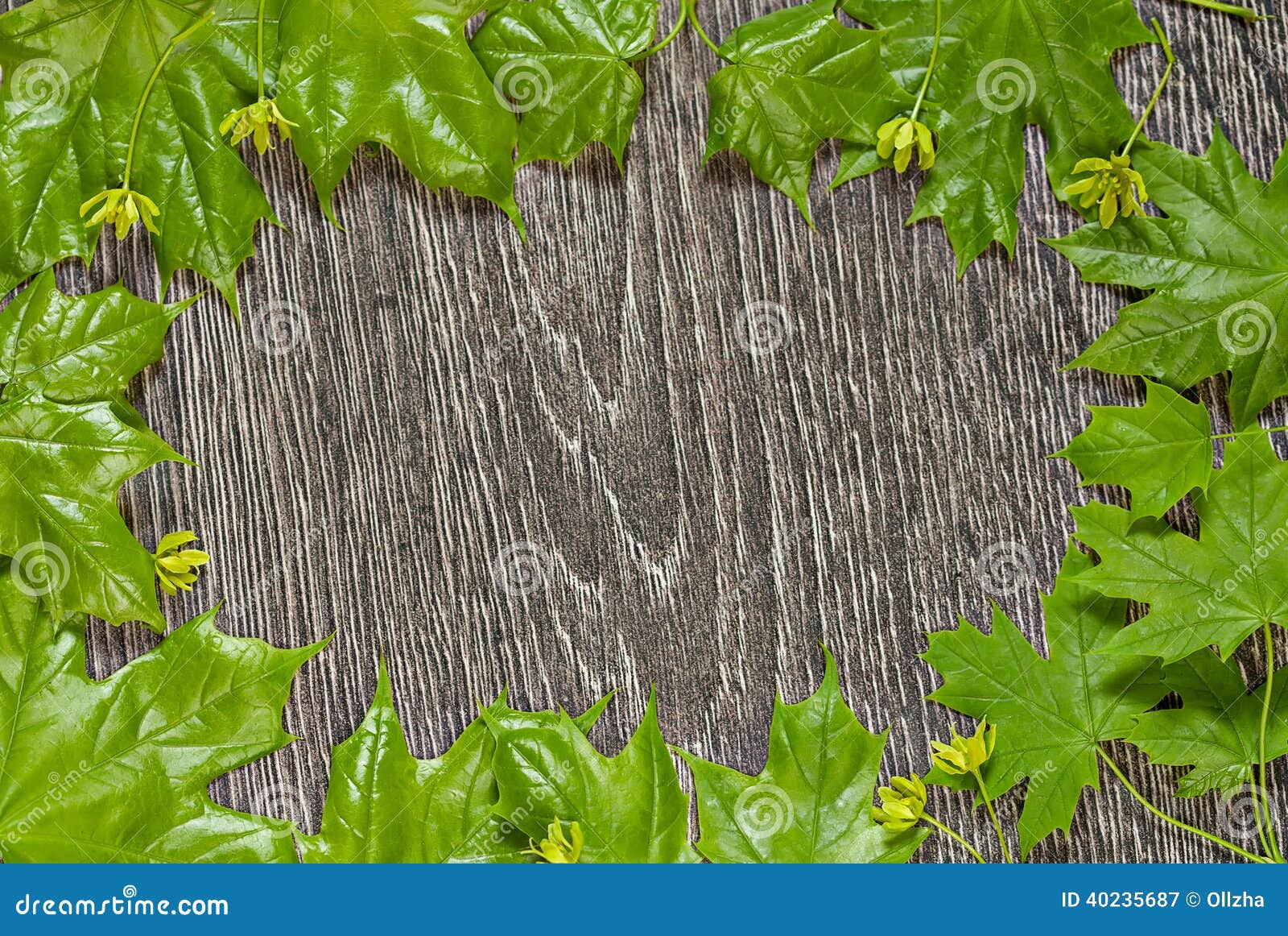 Wooden Background with Leaves Frame Stock Image Image of beautiful