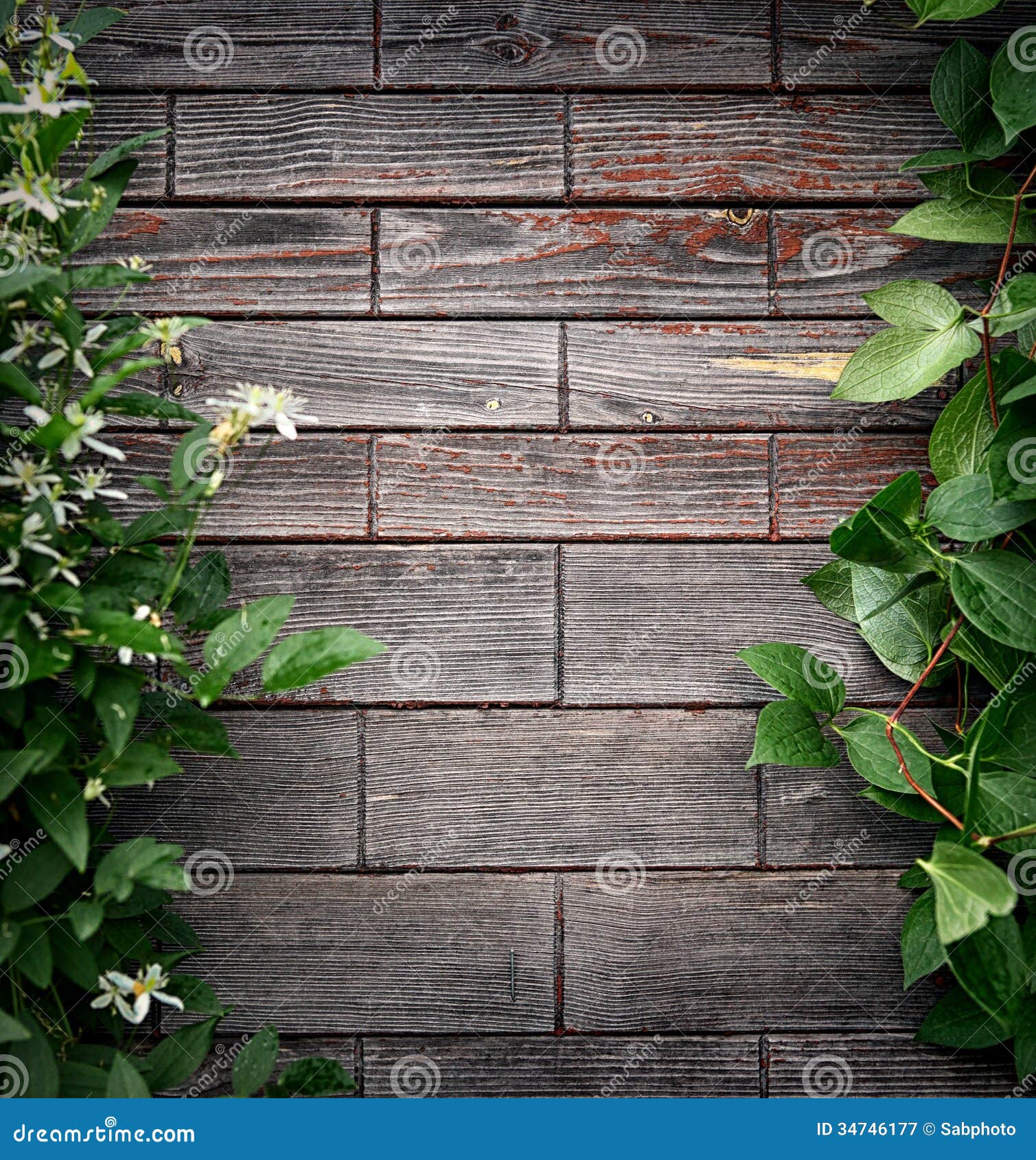 Wooden Background with Leaves Stock Image Image of herb, pattern