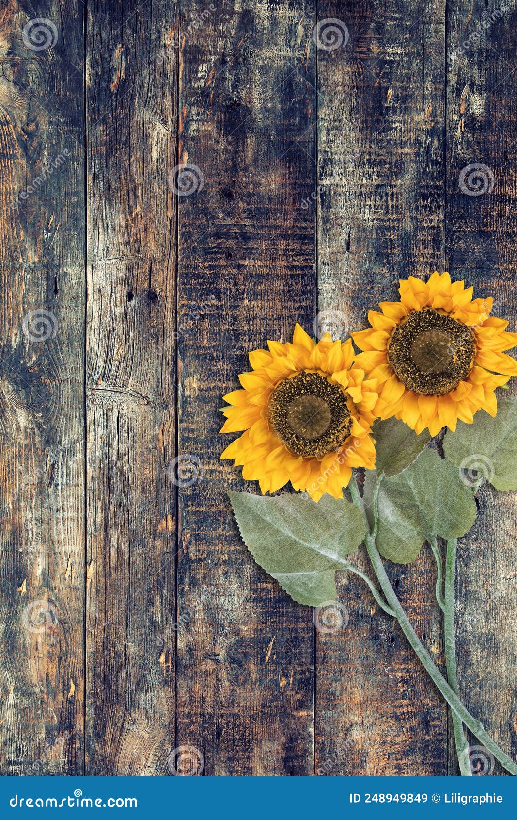 Wooden Background Sunflowers Wood Texture Floral Farmhouse Decoration ...