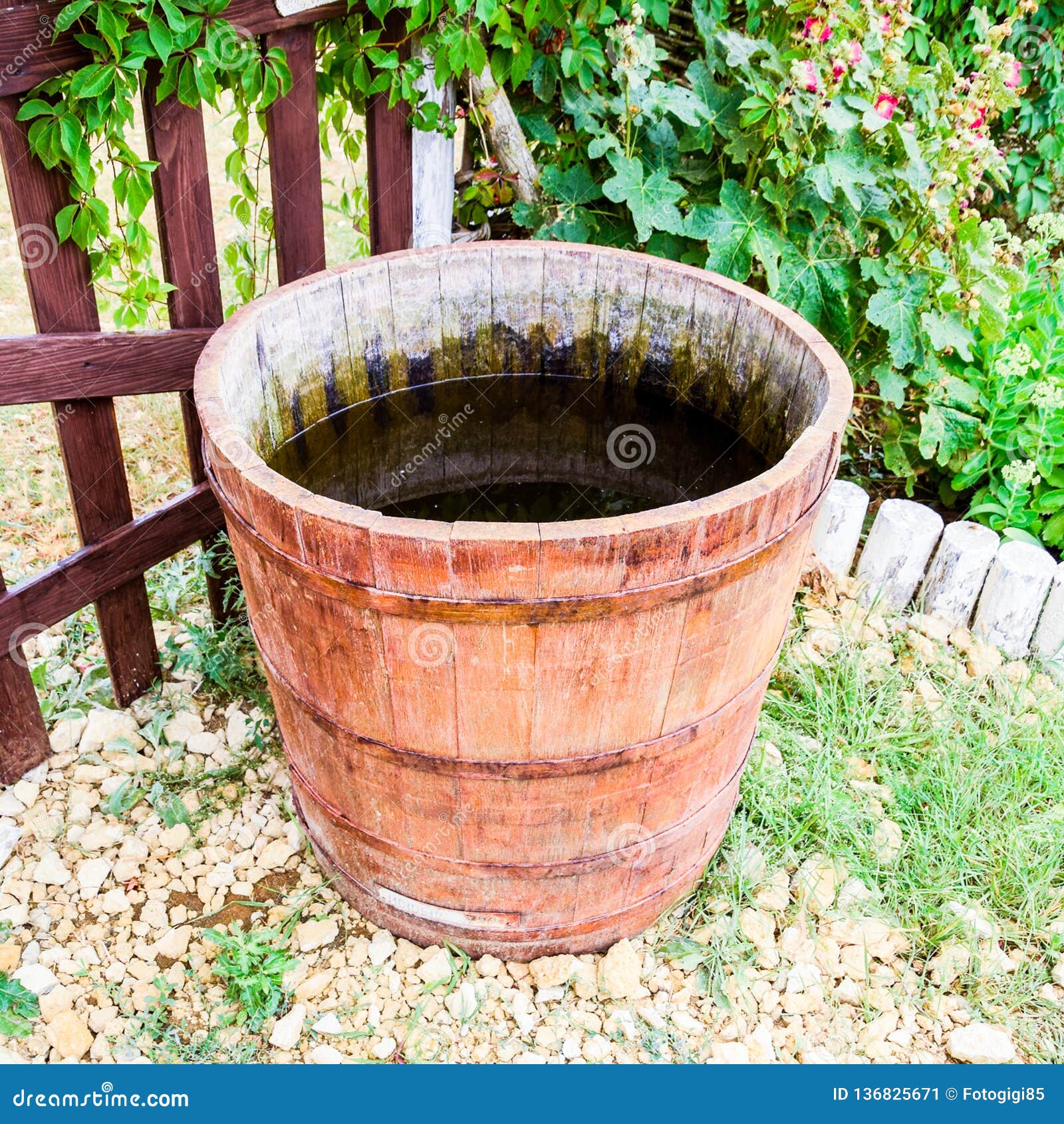 Wooden Barrel Filled with Water Stock Image Image of pine, rain