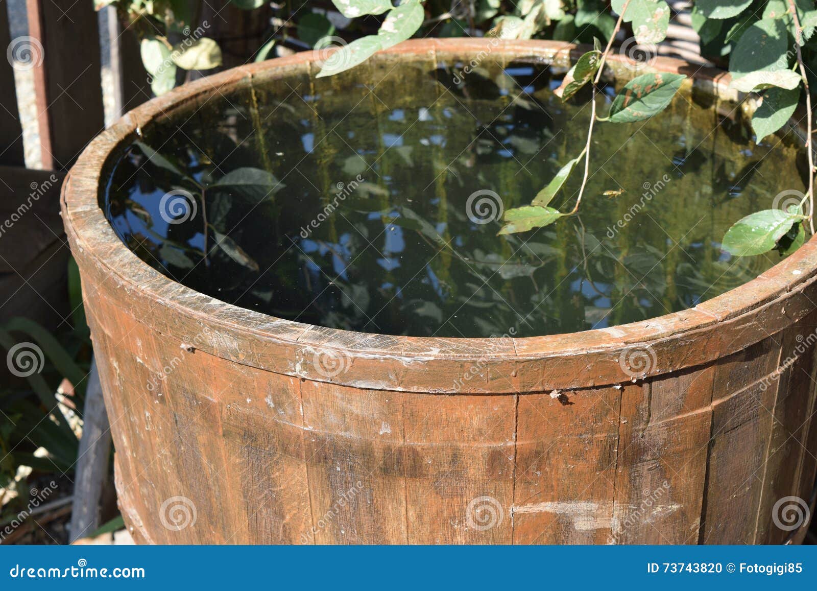 Wooden Barrel Filled with Water Stock Photo Image of ancient