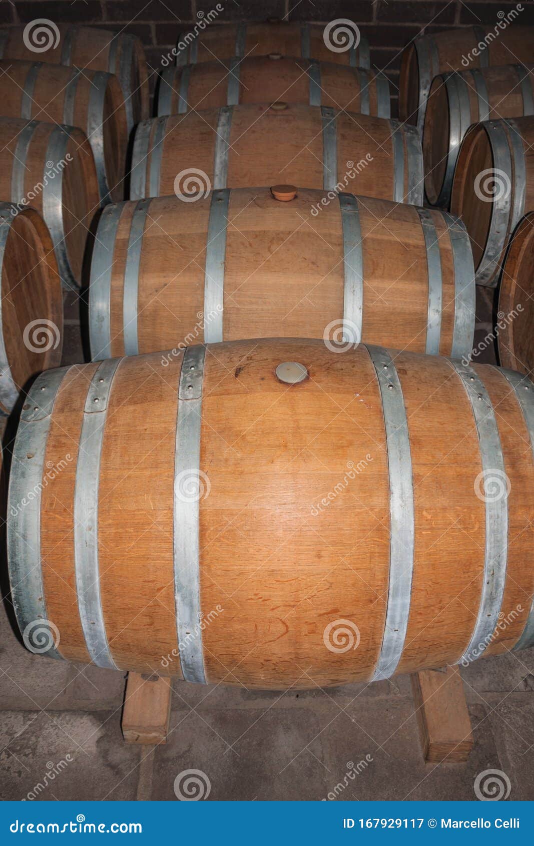 wooden barrels for wine storage in a cellar
