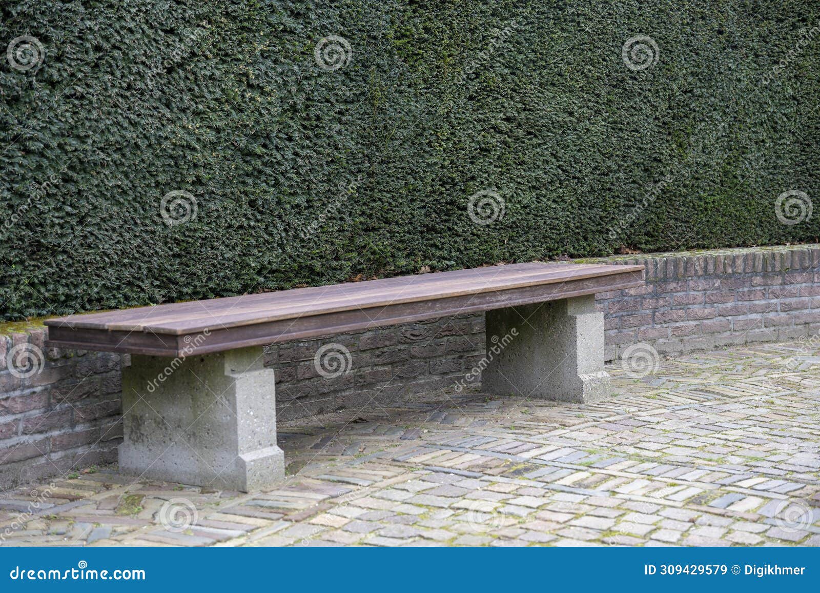 the wooden bench against a green vegetal wall