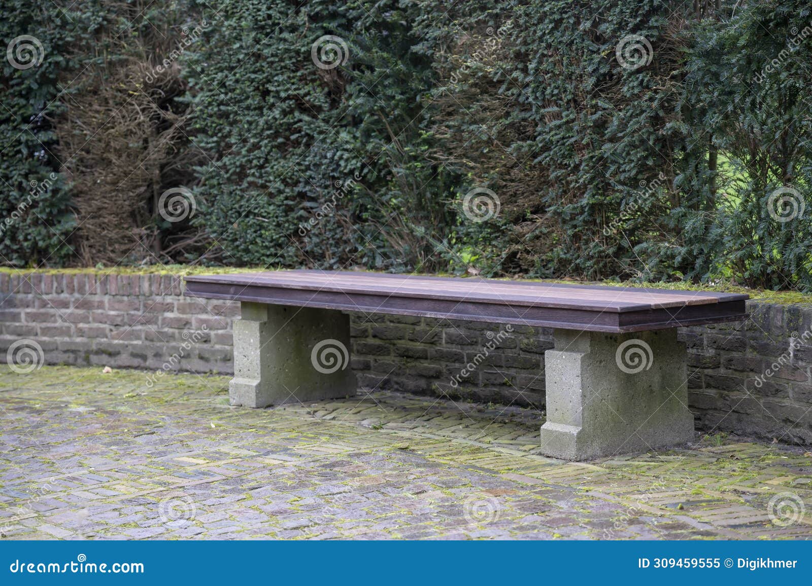 the wooden bench against a green vegetal wall