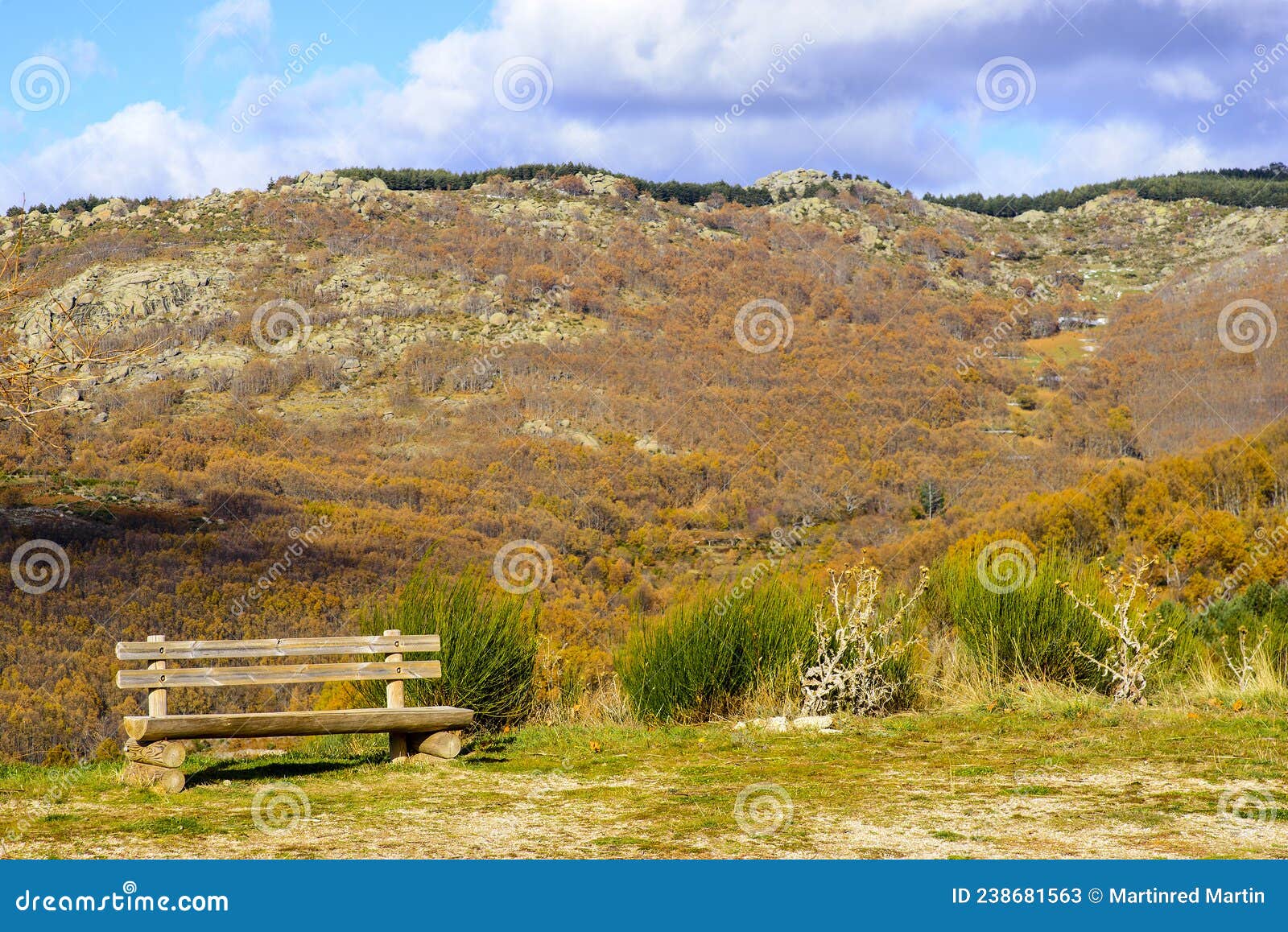 wooden bench and chestnut trees in autumn in the mountain of hervas, extremadura