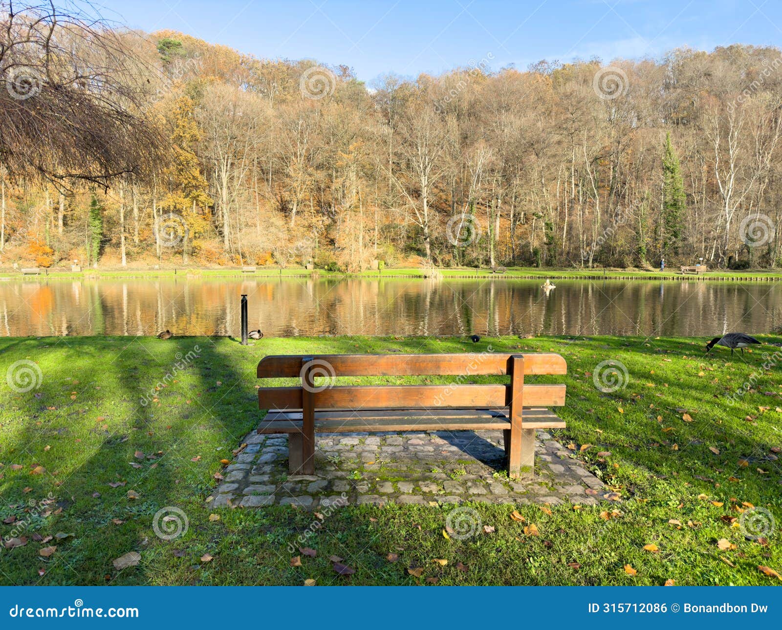wooden bench in front of a lake in landscape park