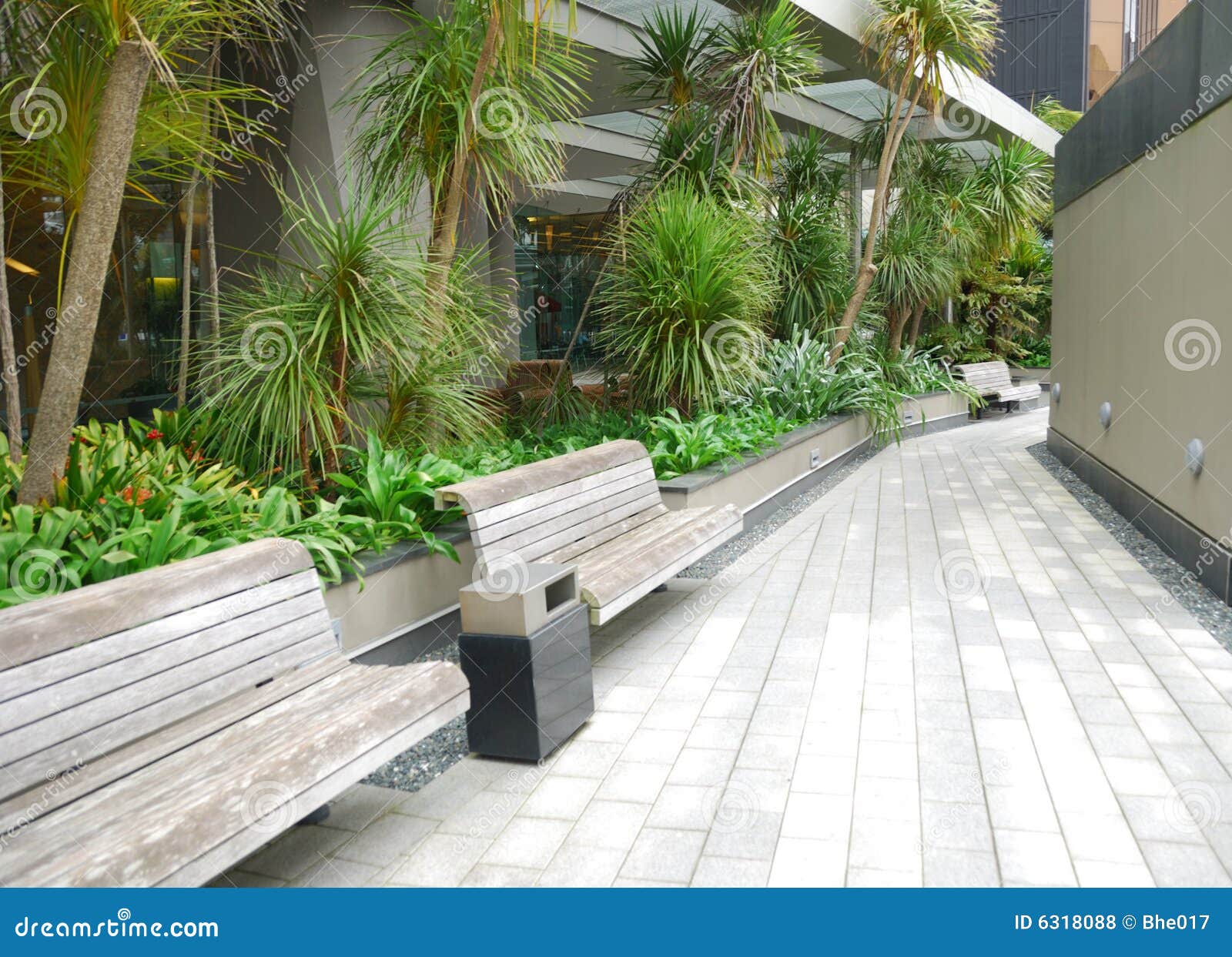 Wooden Bench In The Garden Stock Photo Image Of Sunny 6318088