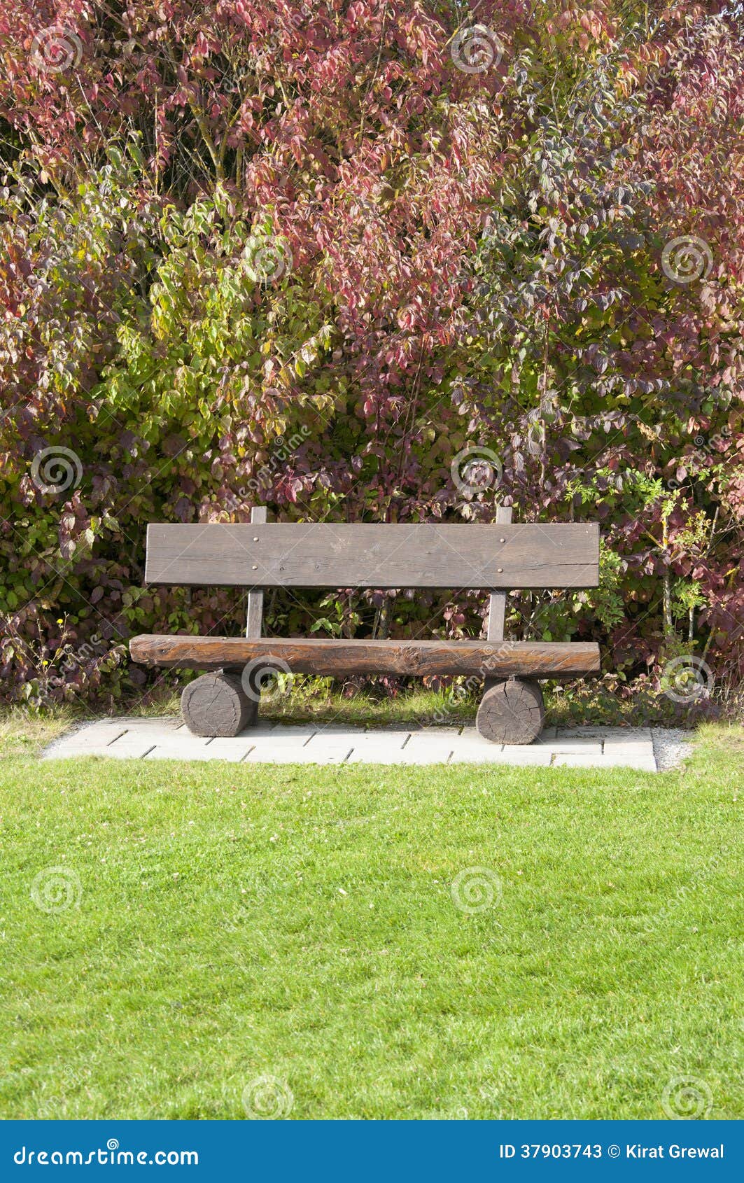 A Wooden Bench at a Golf Course in Autumn, Germany Stock Image Image