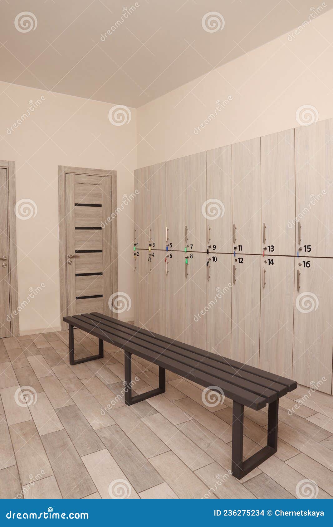 Wooden Bench and Lockers in Changing Room Interior Stock Photo Image