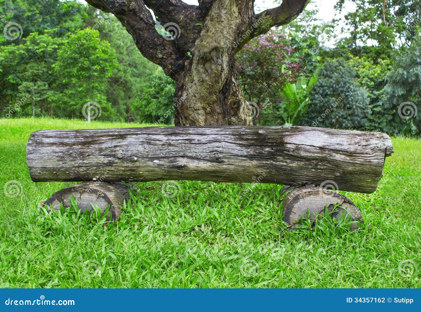 Wooden Bench Made Of Tree Trunks Stock Photography - Image 