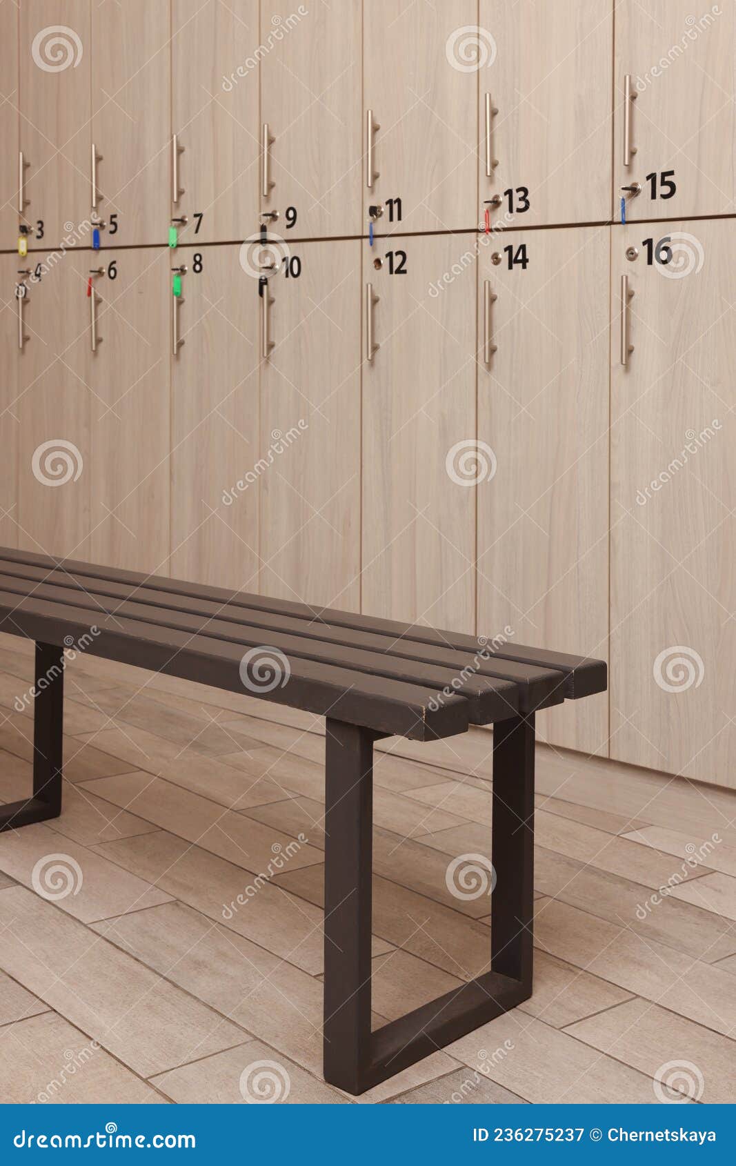Wooden Bench Near Lockers in Changing Room Stock Image Image of beige