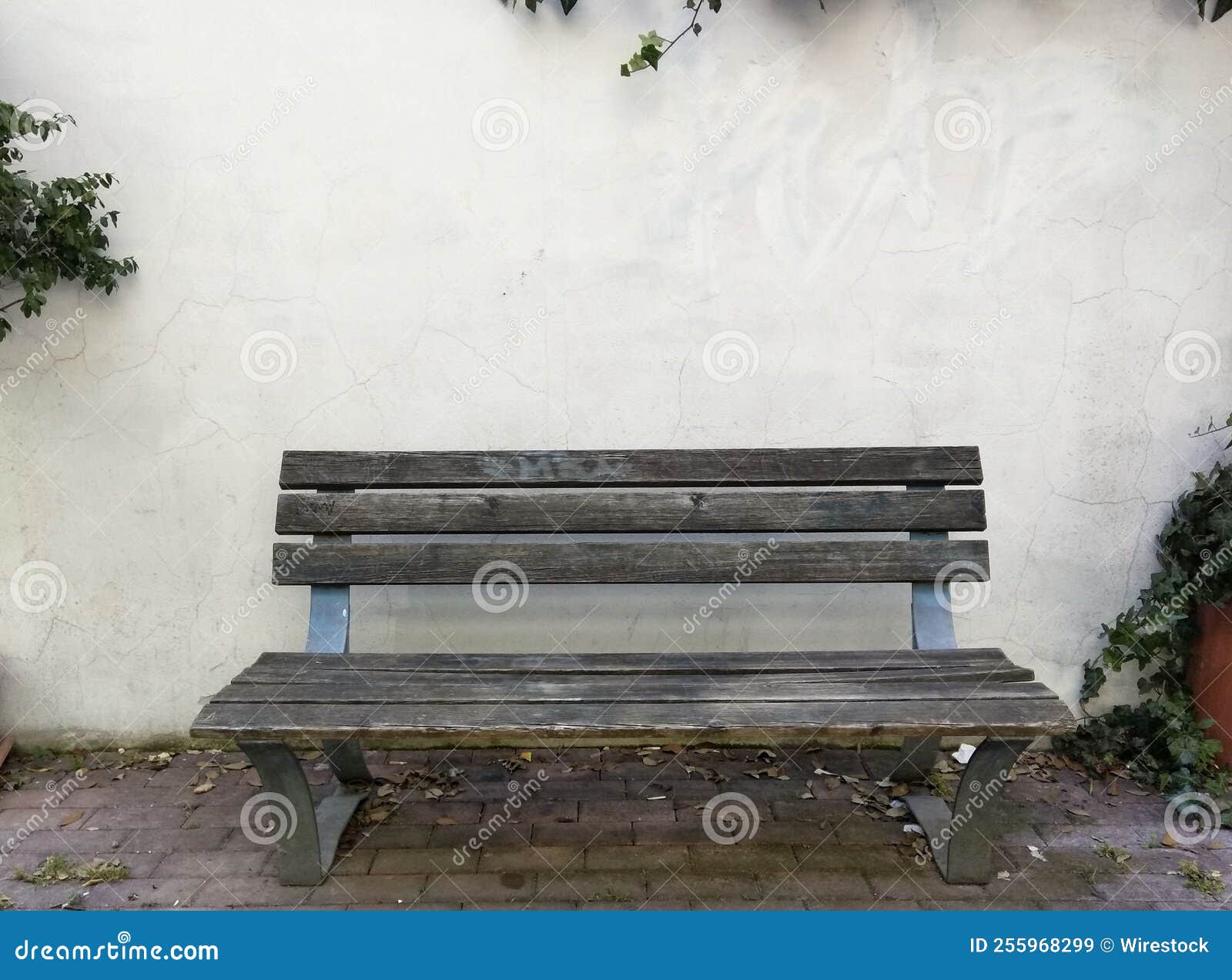Wooden Bench Near a White Wall Stock Image Image of park, bench