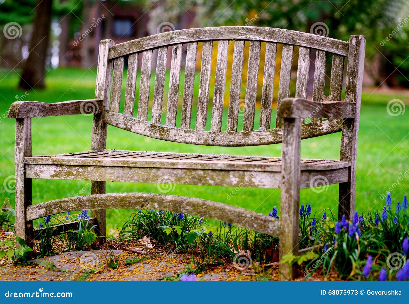 Wooden bench in the park