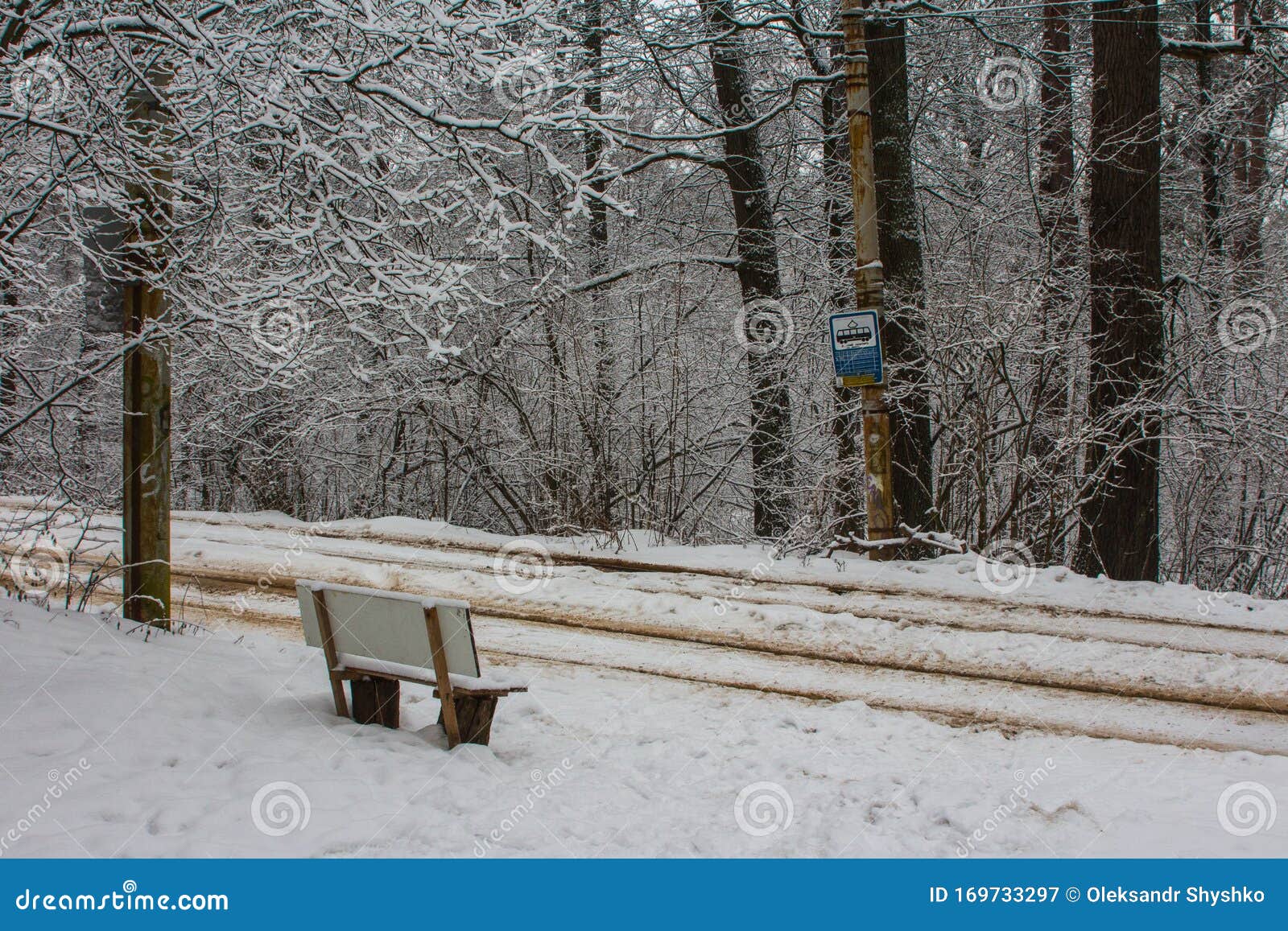 wooden bench on a tram stop in a snow-covered forest in kyiv. ukraine