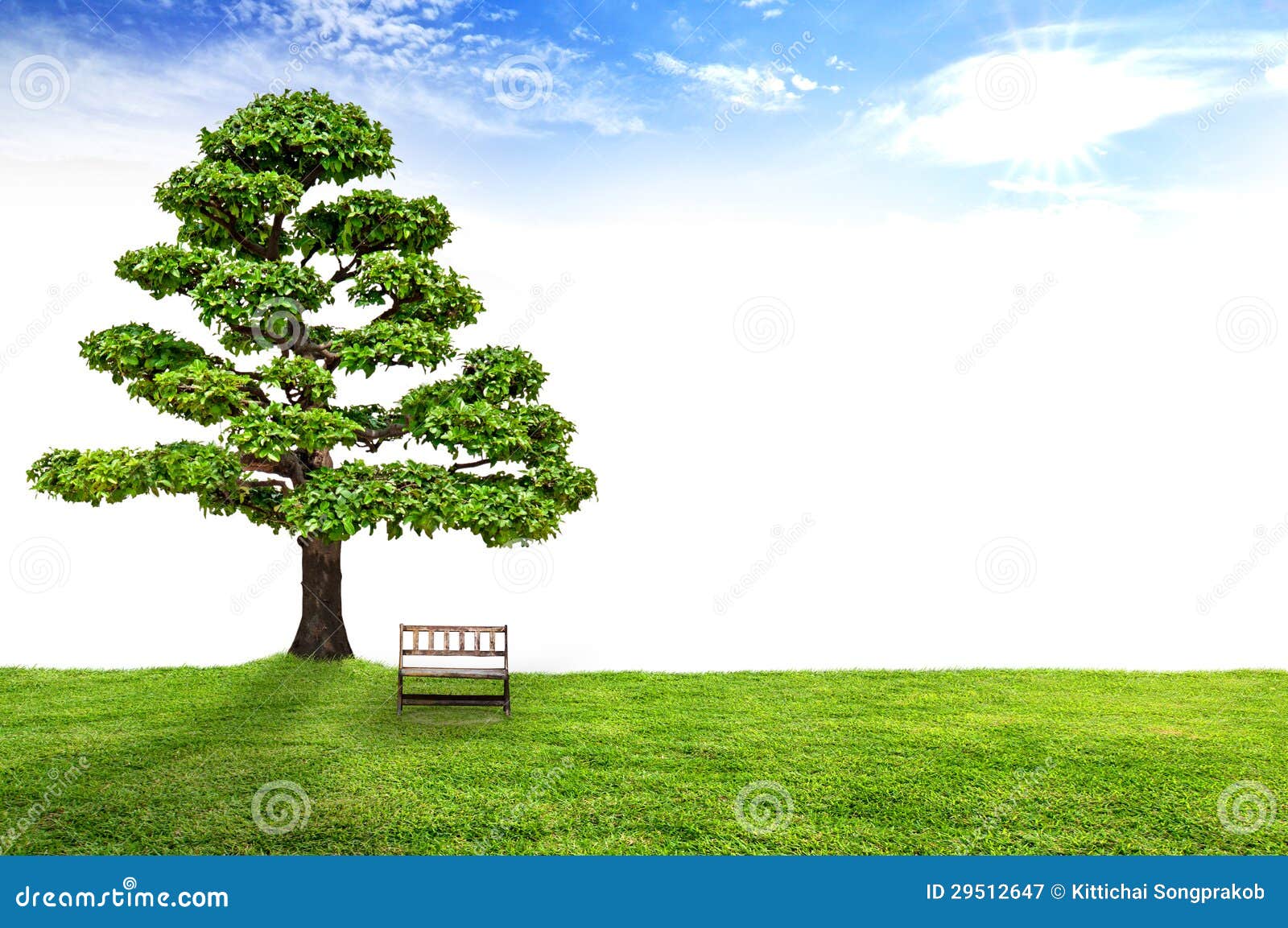 Wooden bench under a tree stock image. Image of bench 29512647